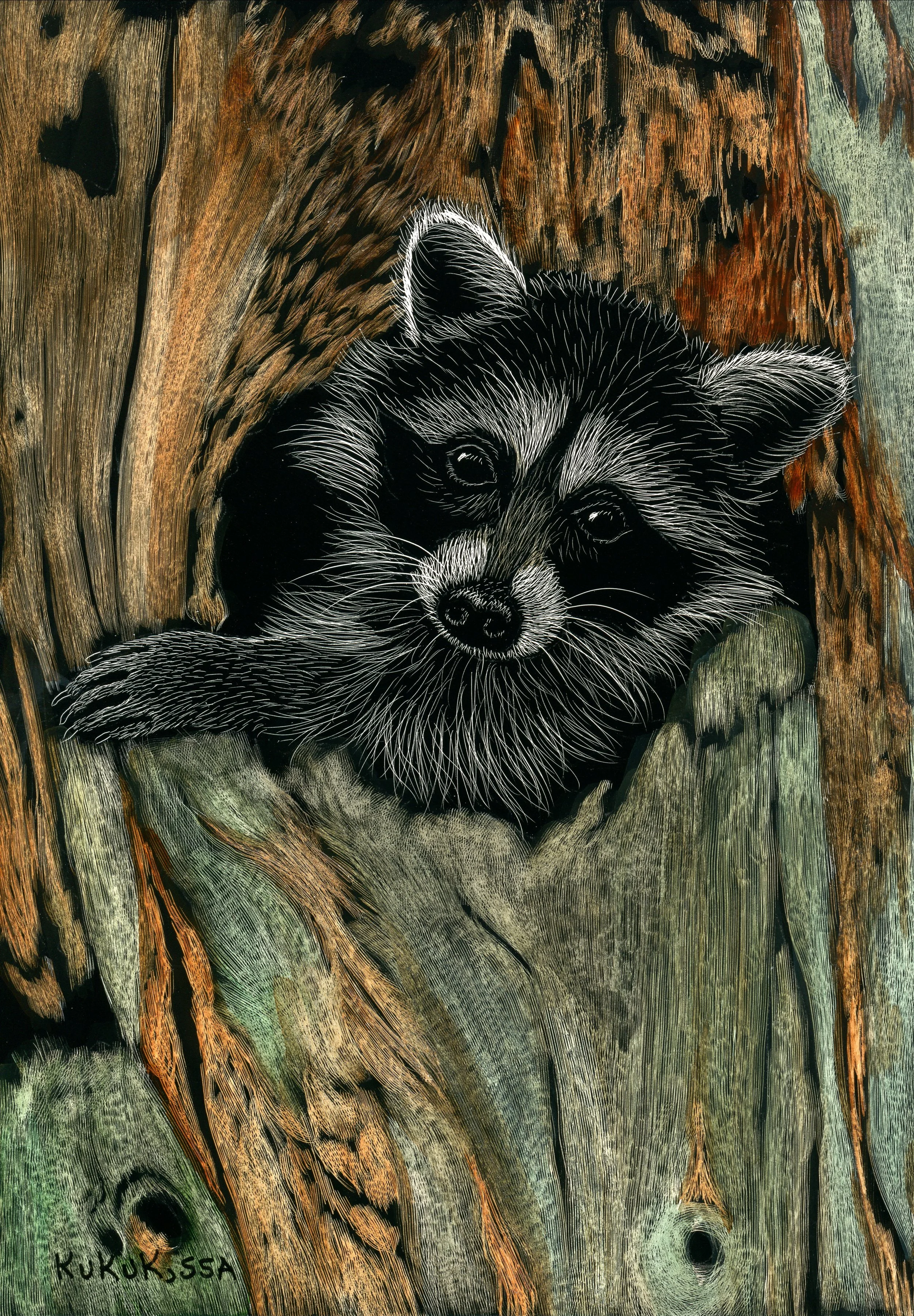 Peek-a-boo Raccoon 