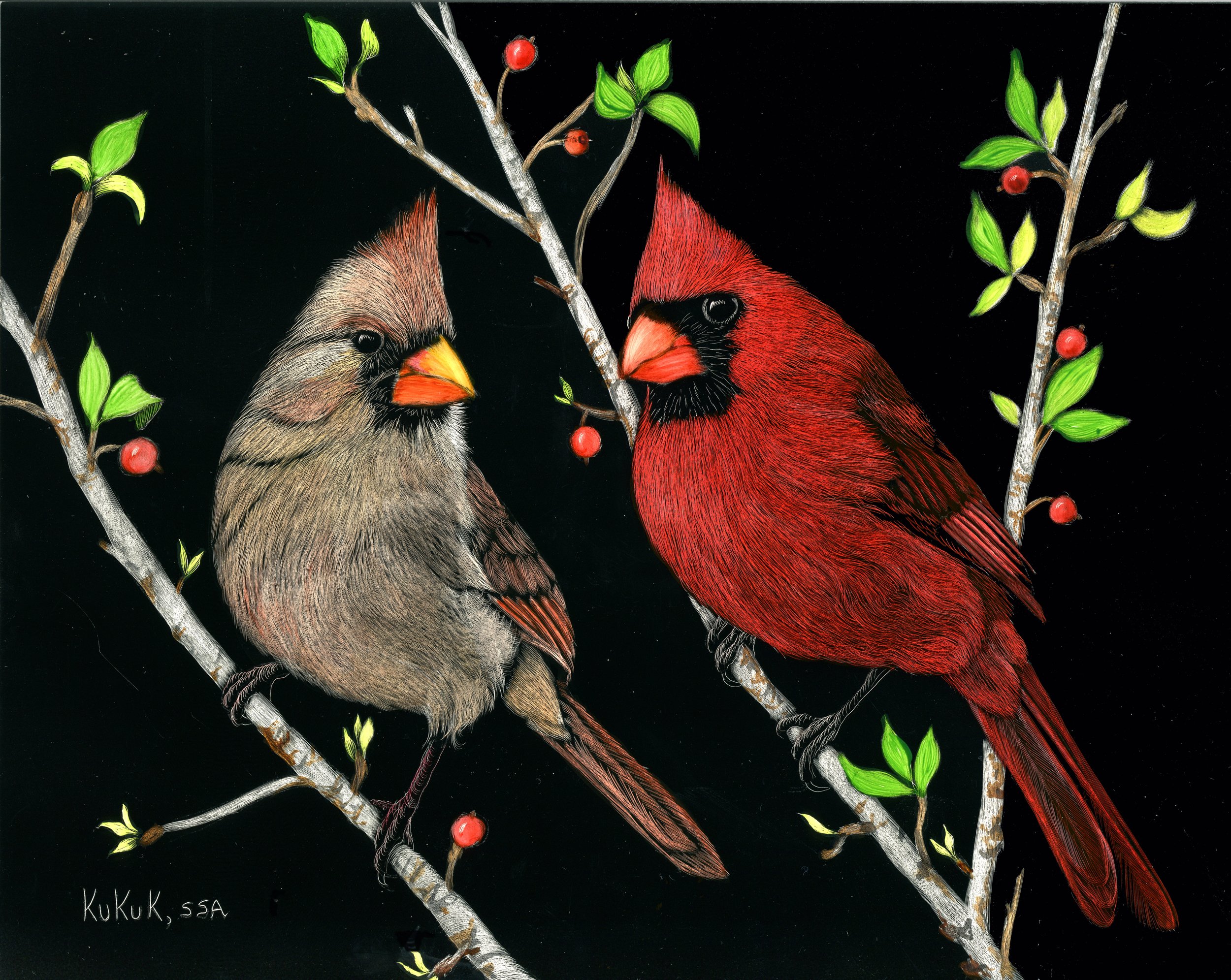 Spring Cardinal Couple