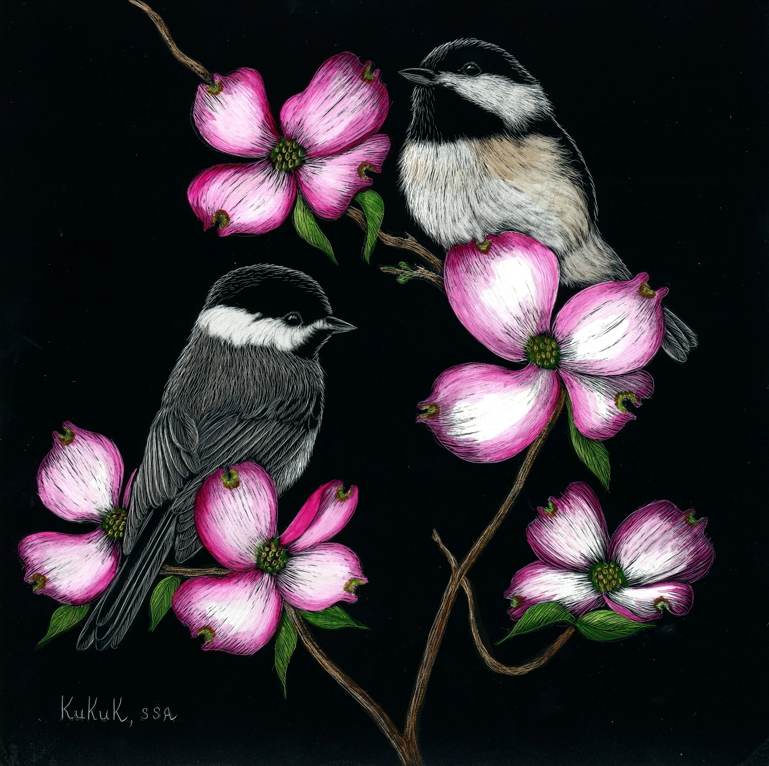 Chickadees on Dogwood