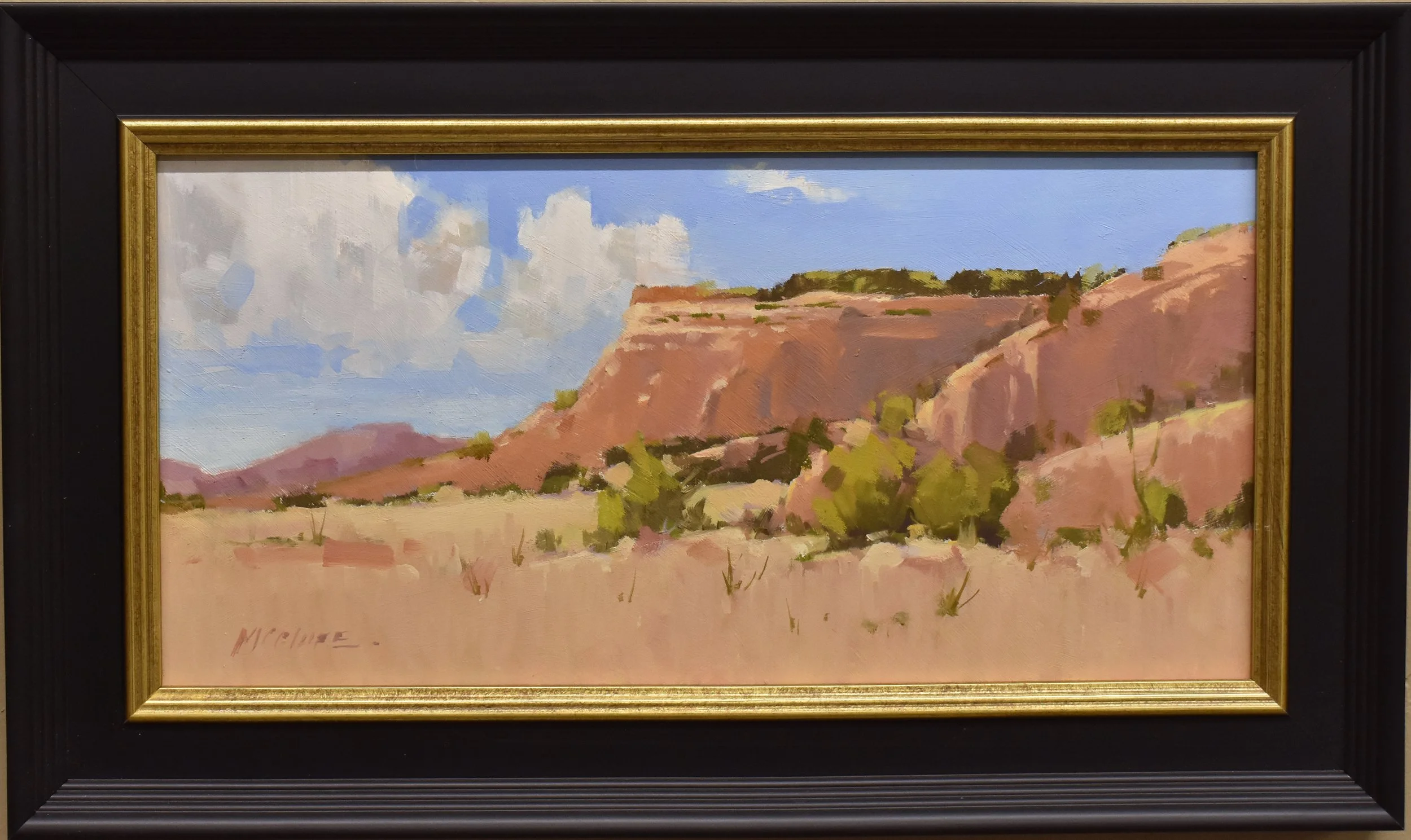 Summer Mesa