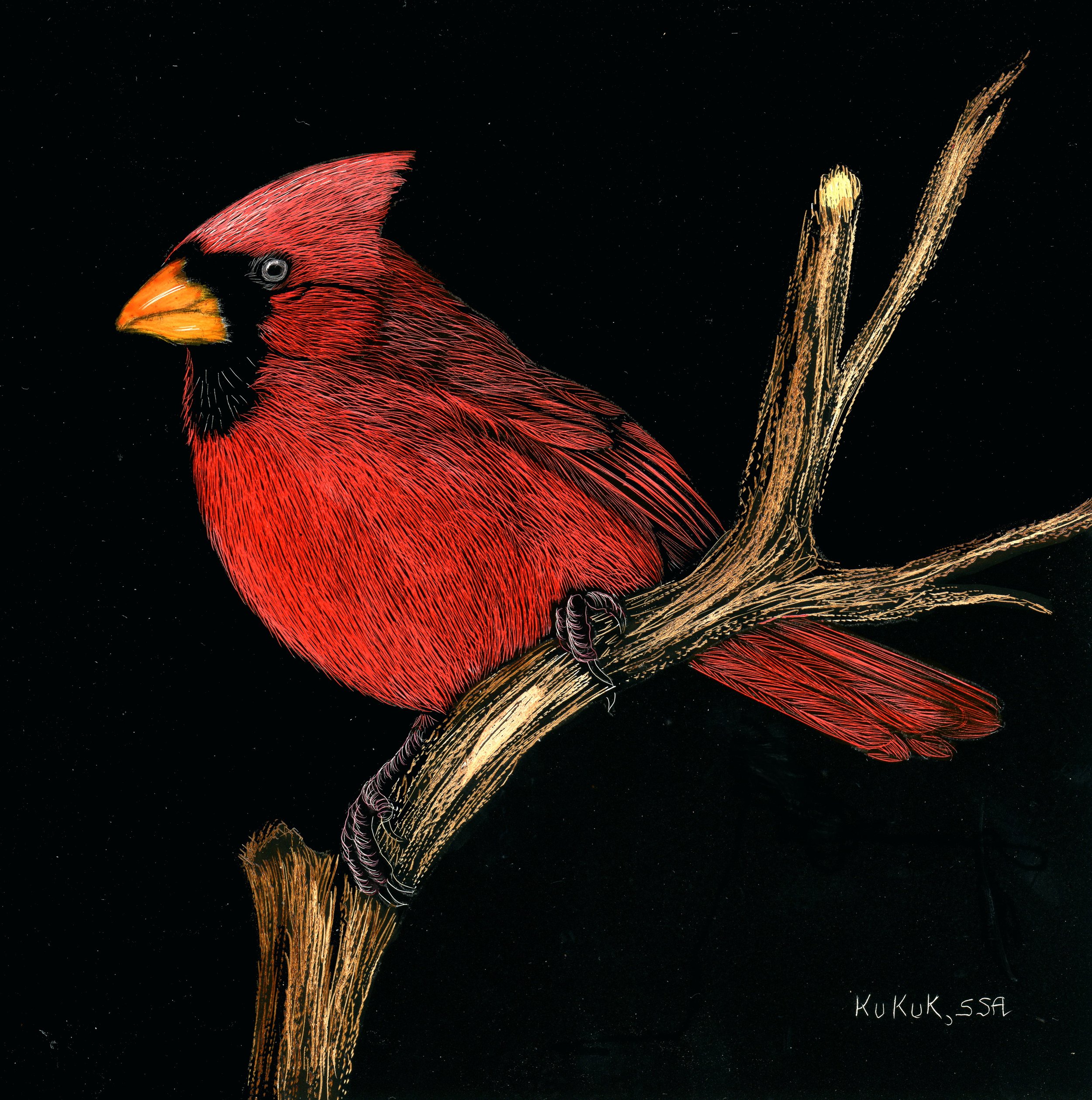 Bright Red