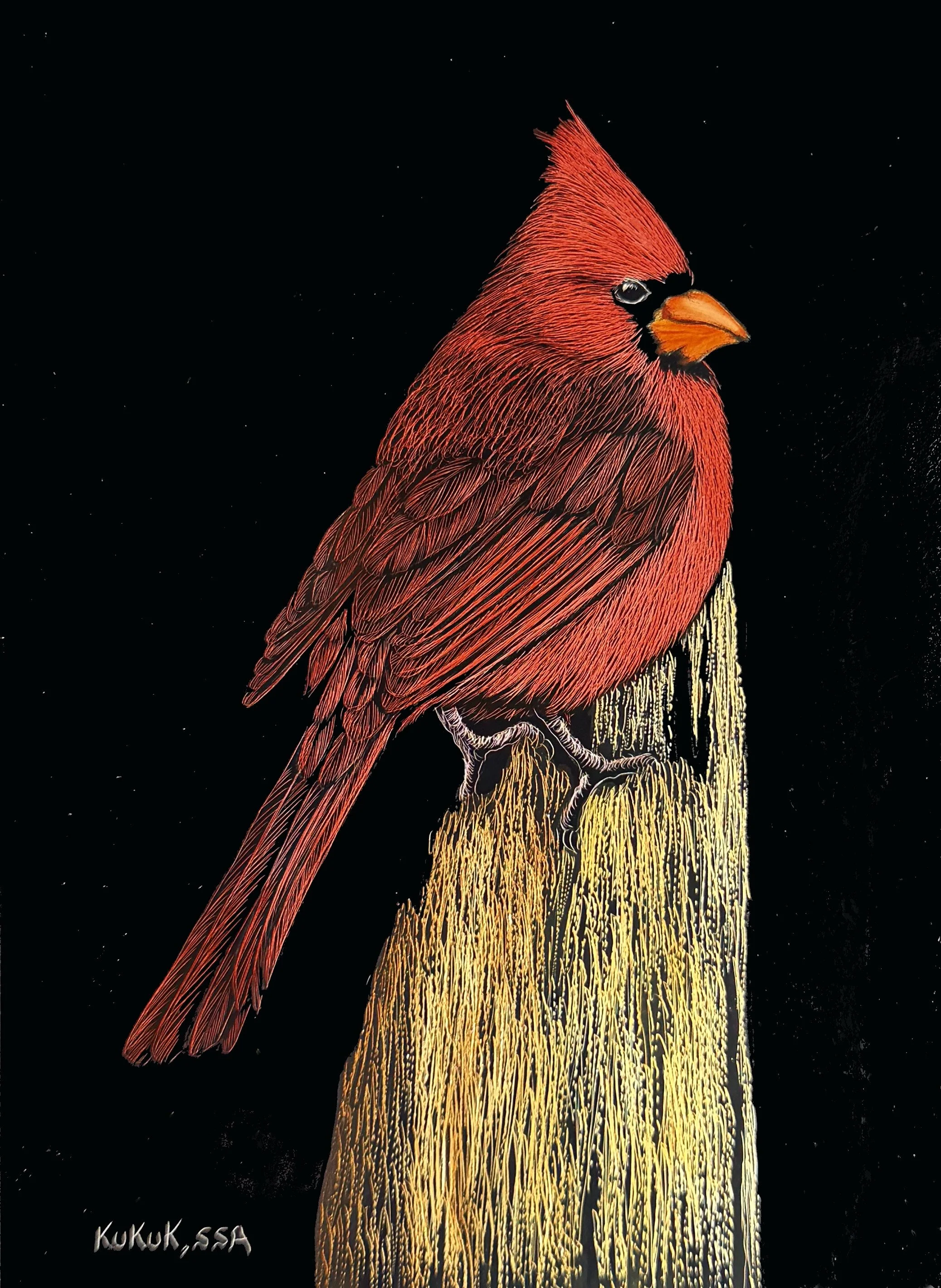Cardinal on Stump
