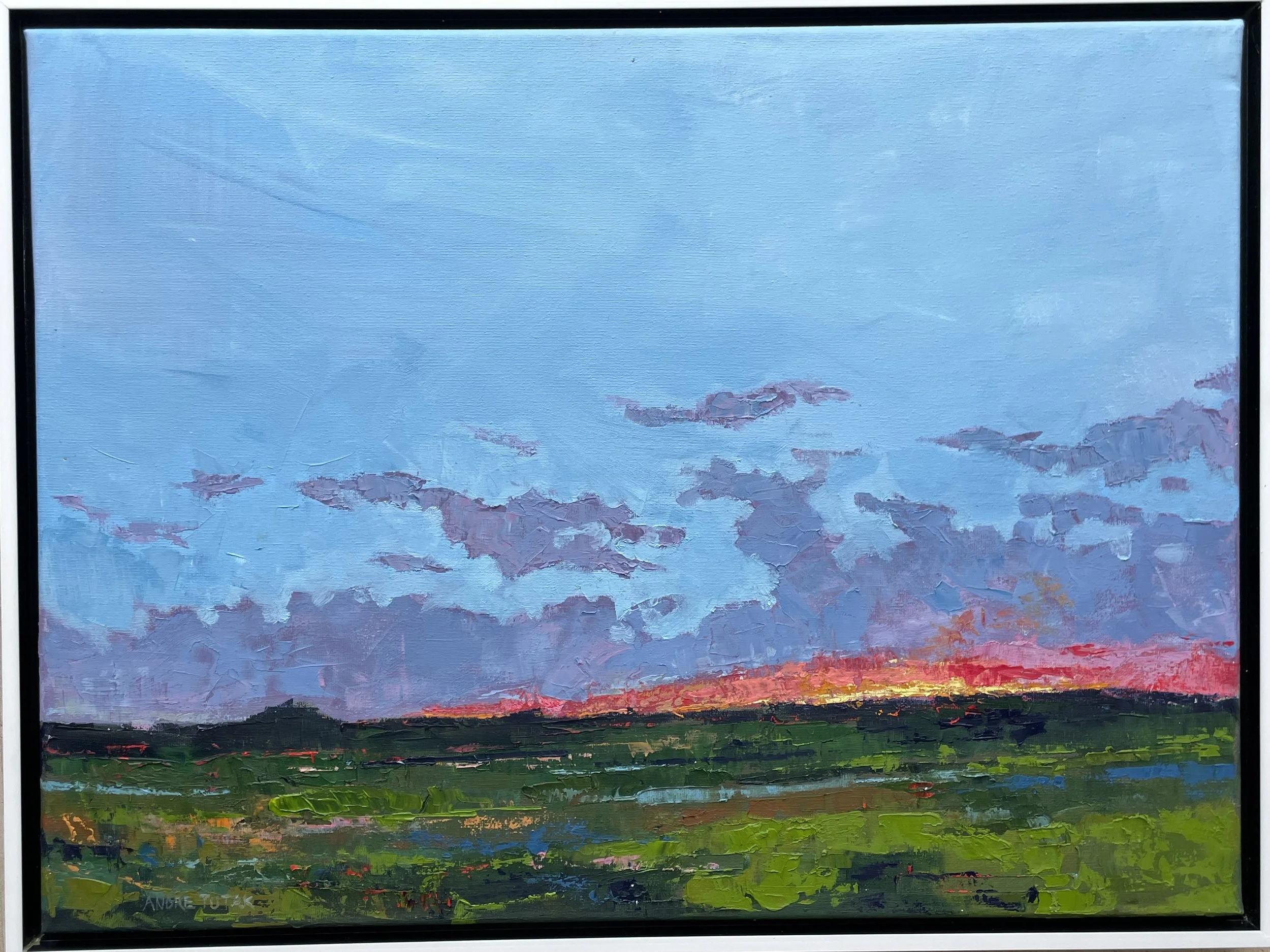 Oklahoma Sunset XII