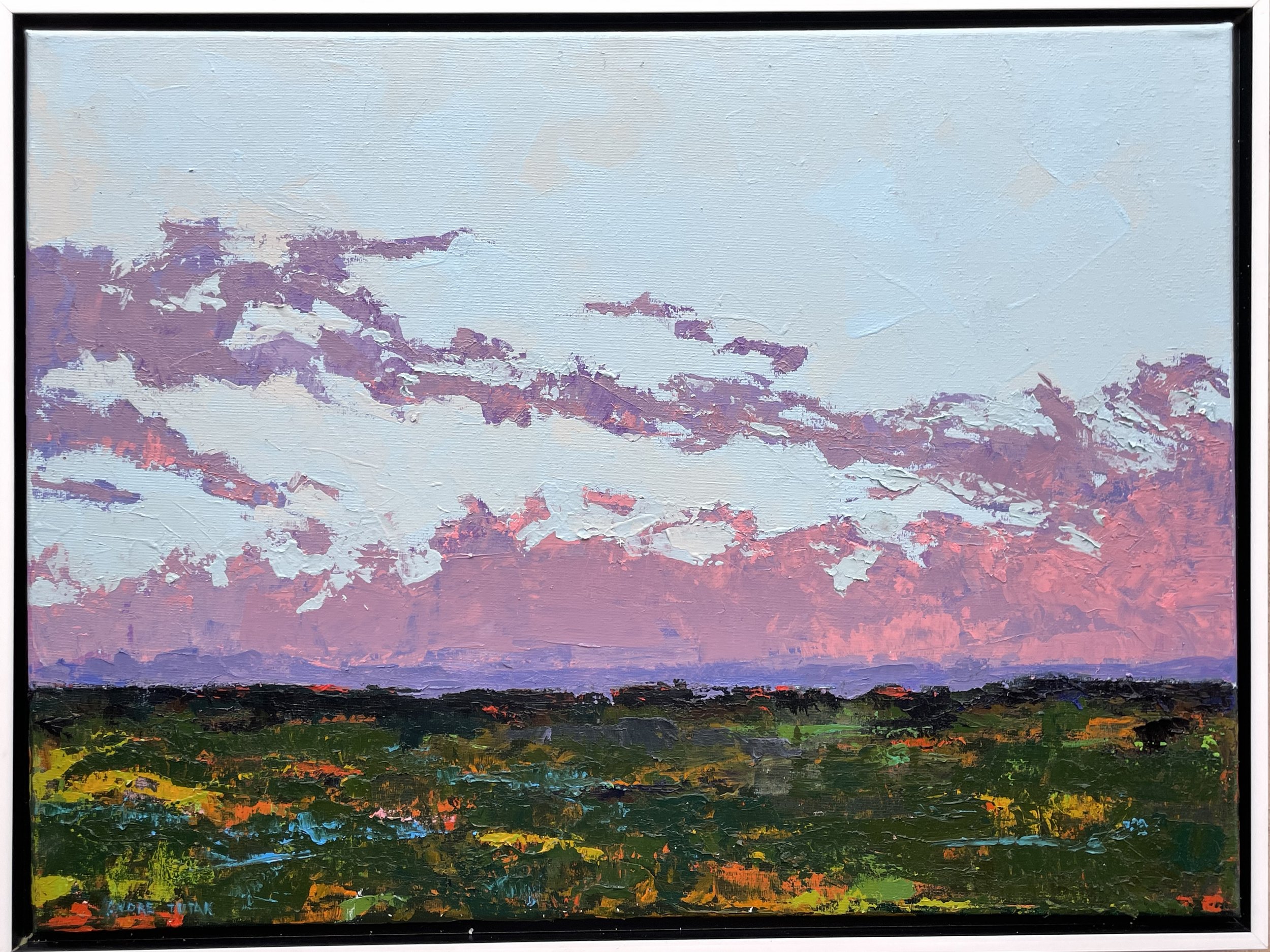 Oklahoma Sunset XIV