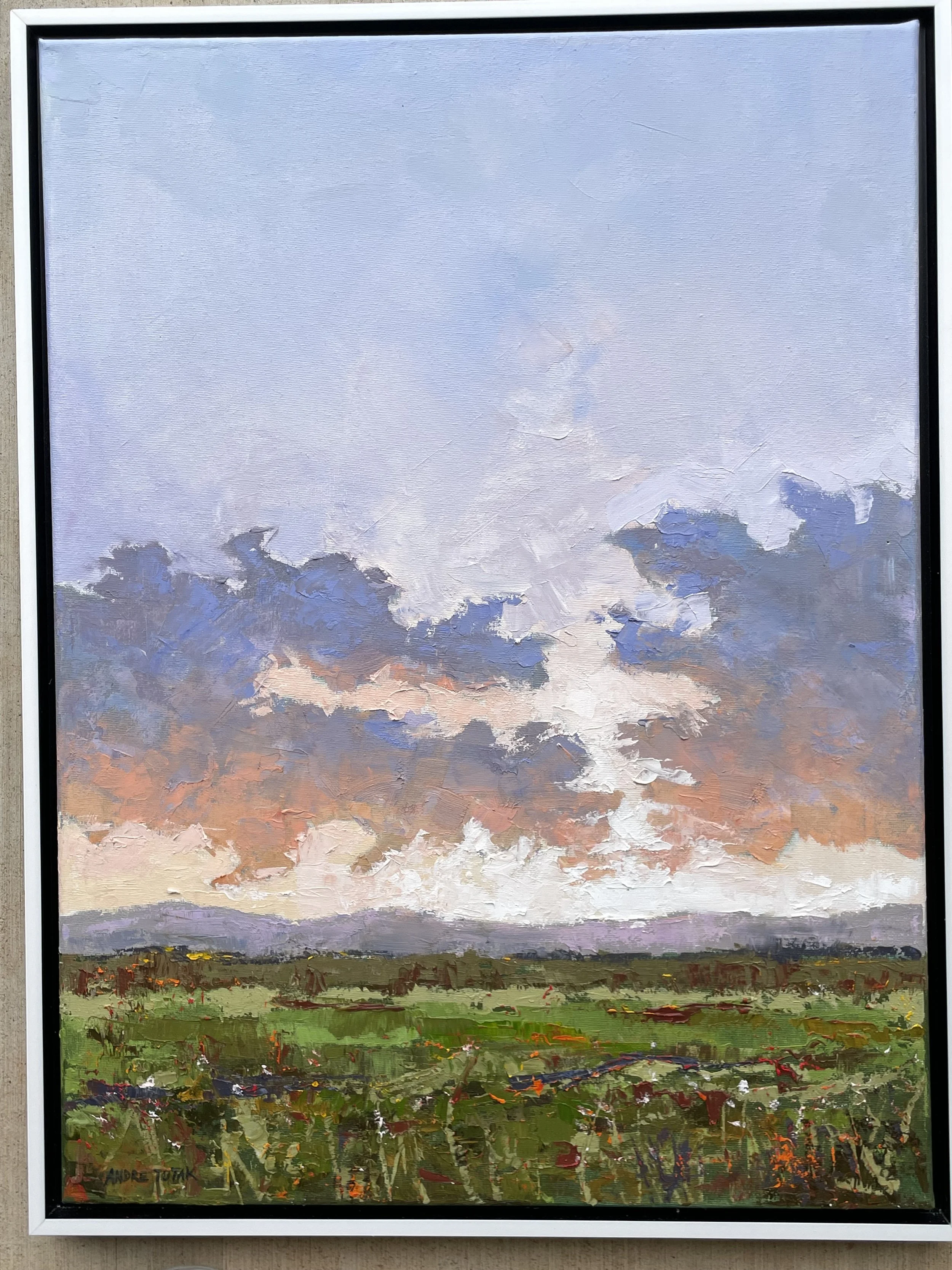 Oklahoma Sunset XIX