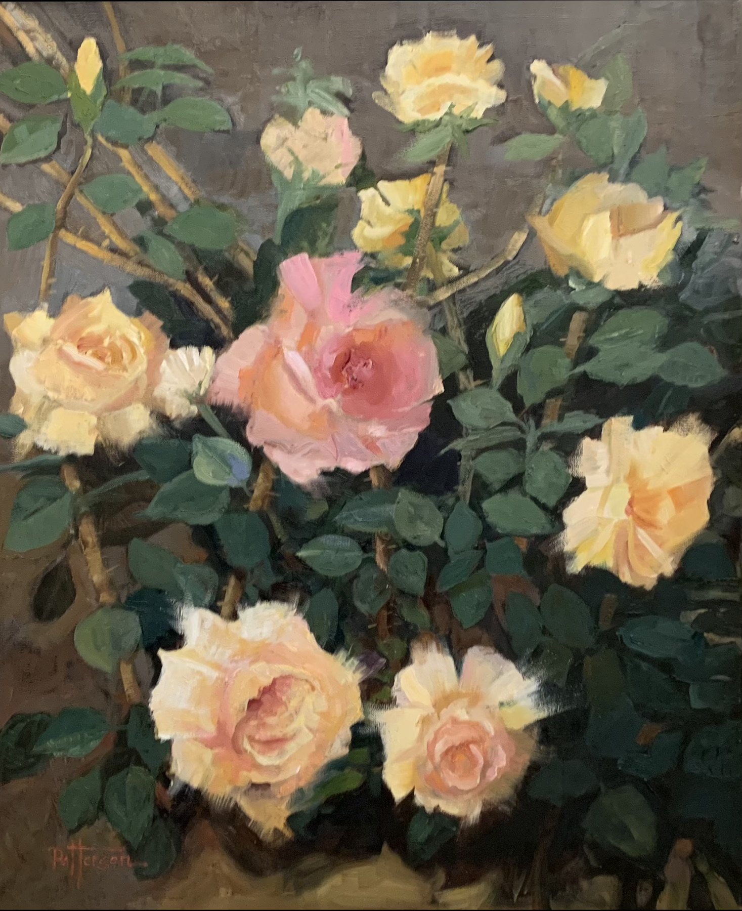 Peace Roses 