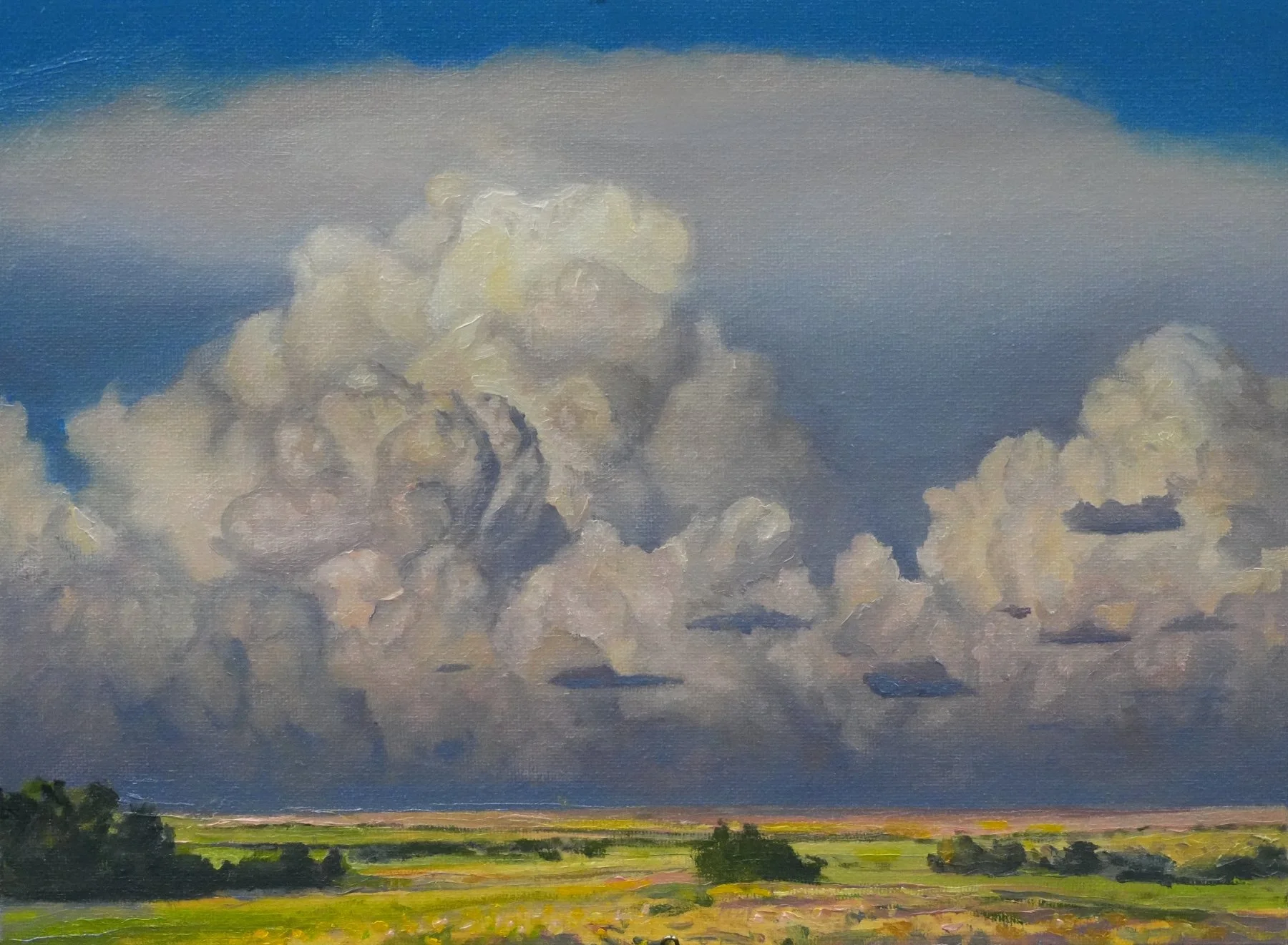 David Holland