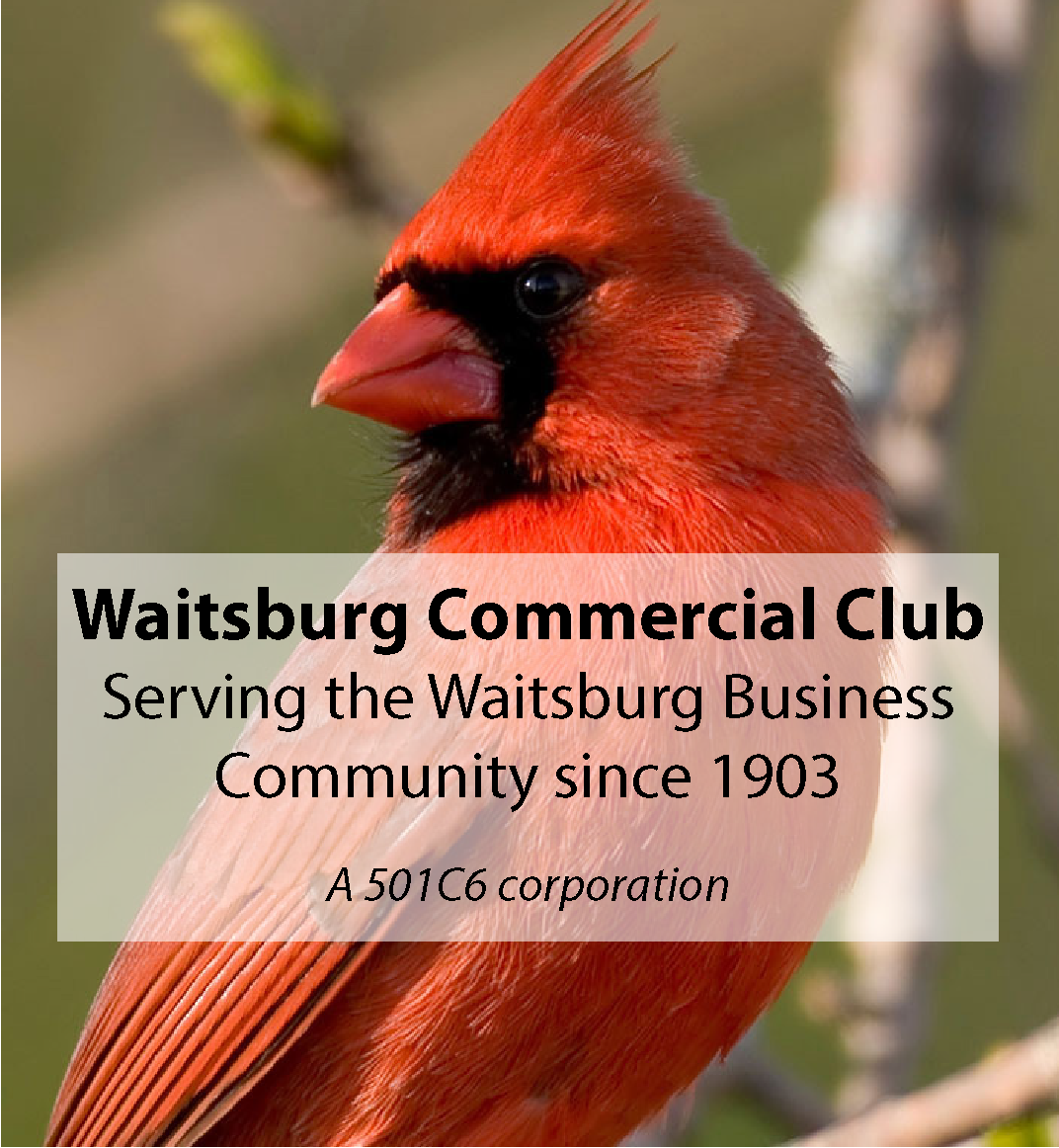 Agenda and news from November 17 Commercial Club Meeting