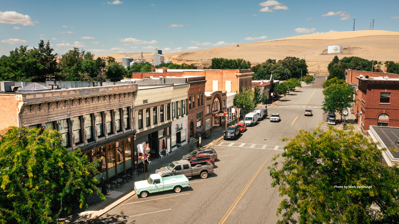 Photo by VanDonge (Website) (2).png