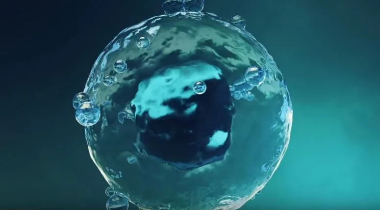 snip it of medtech video.JPG