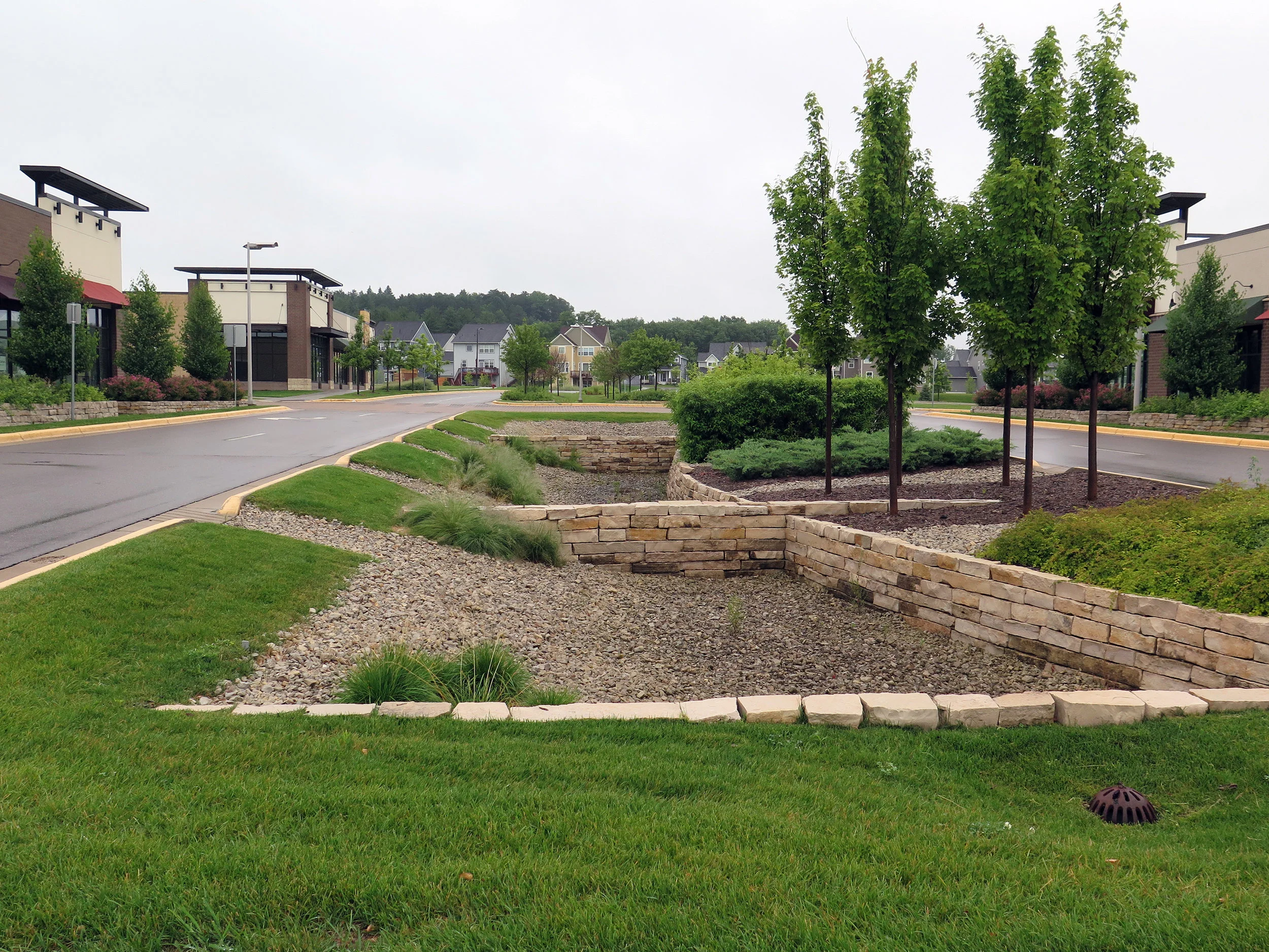 A landscaped median in Inver Grove Heights, MN, doubles as a stormwater collector. Elizabeth Dunbar | Minnesota Public Radio.