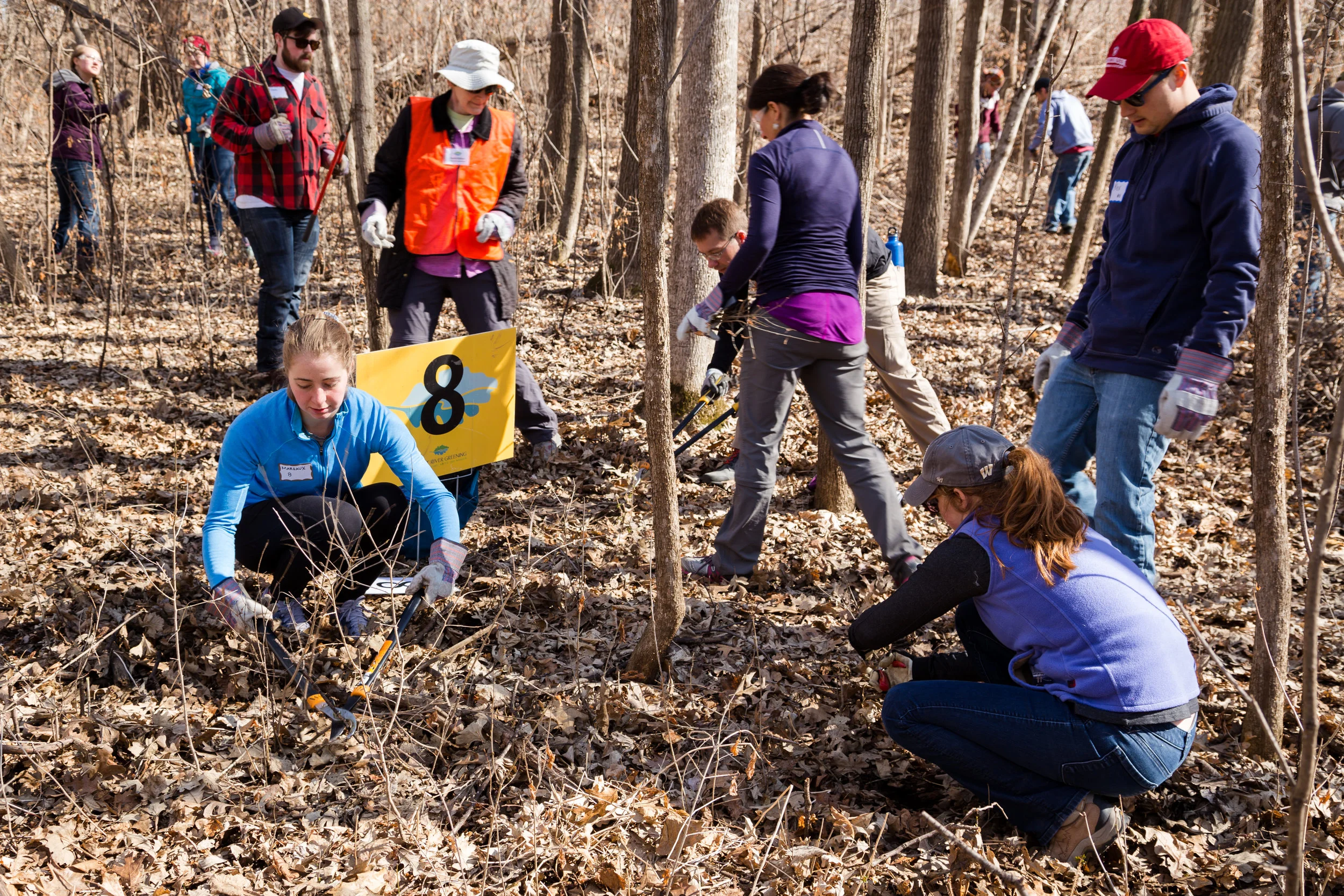 MPR Mississippi River Volunteer Event with Great River Greening 