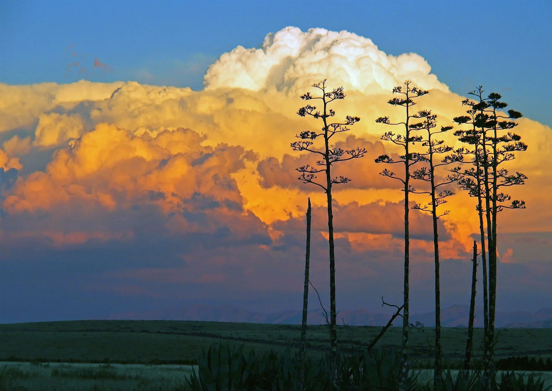 What Grantmakers Can Do to Help Nonprofits Thrive