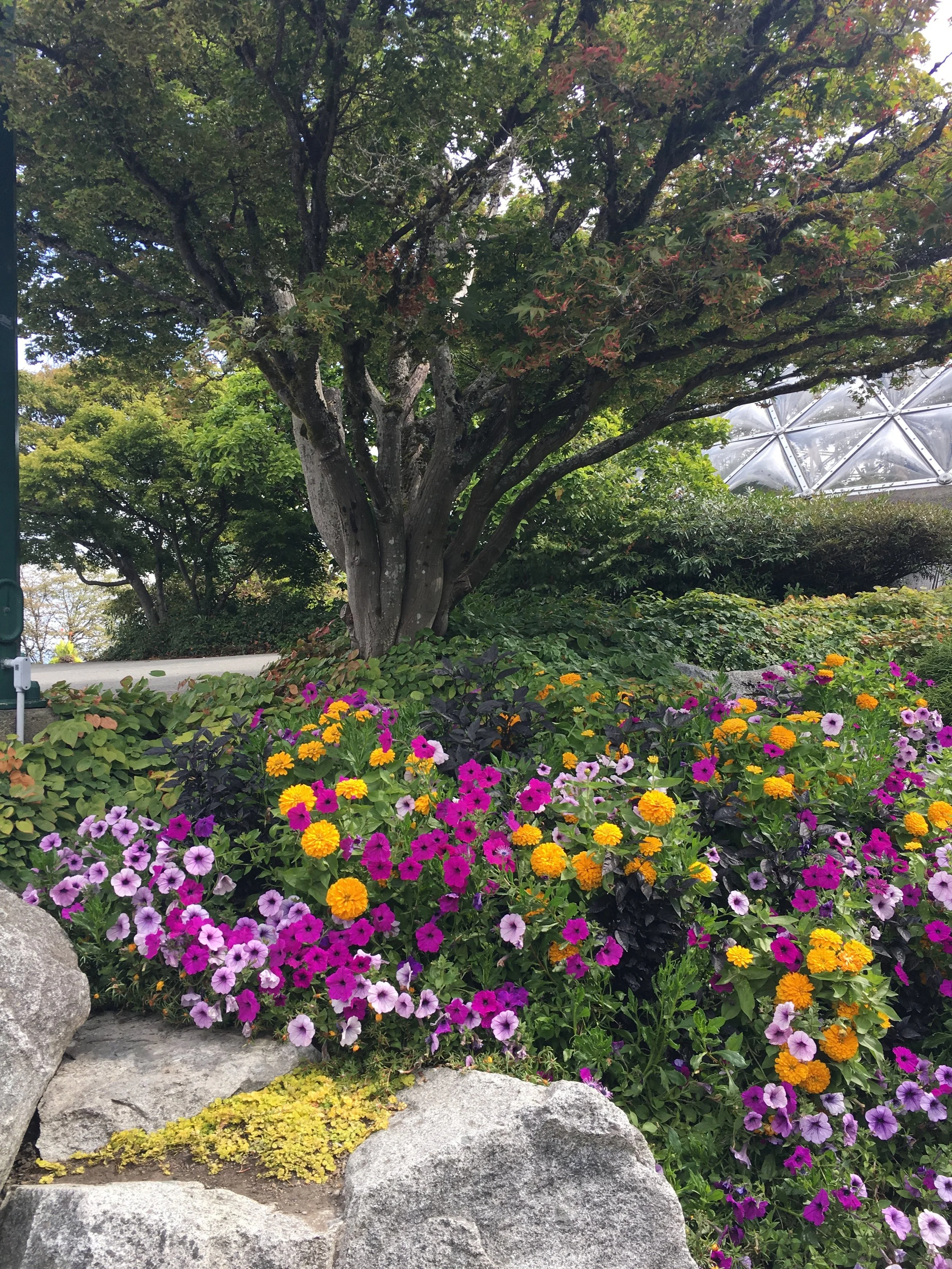 For Nonprofit ED’s - A Ray of Sunshine