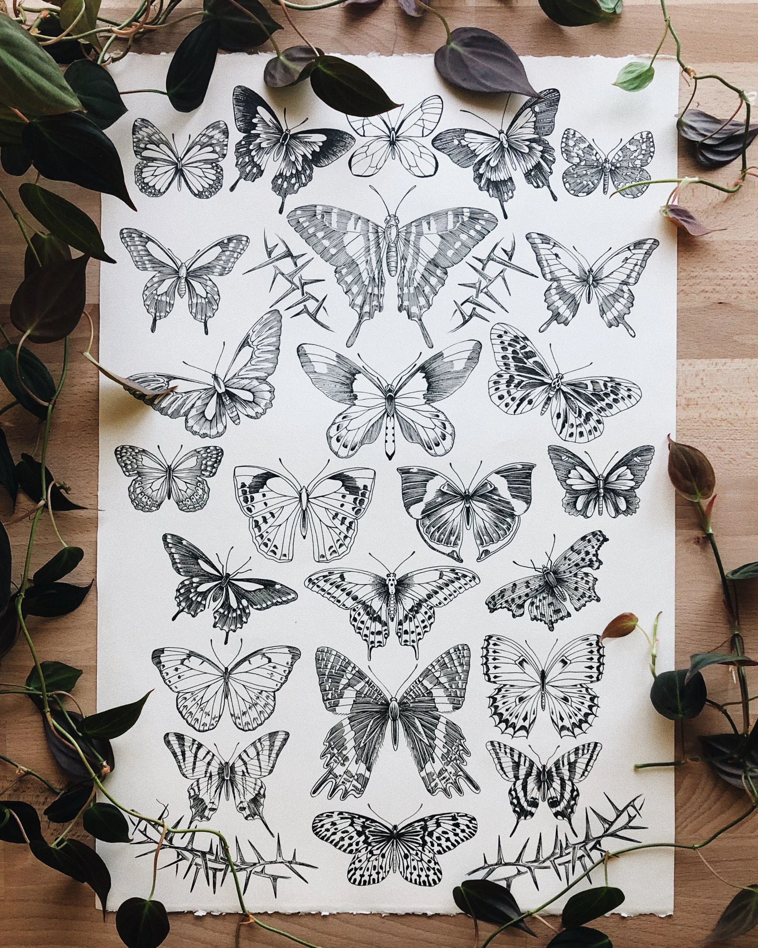Butterflies