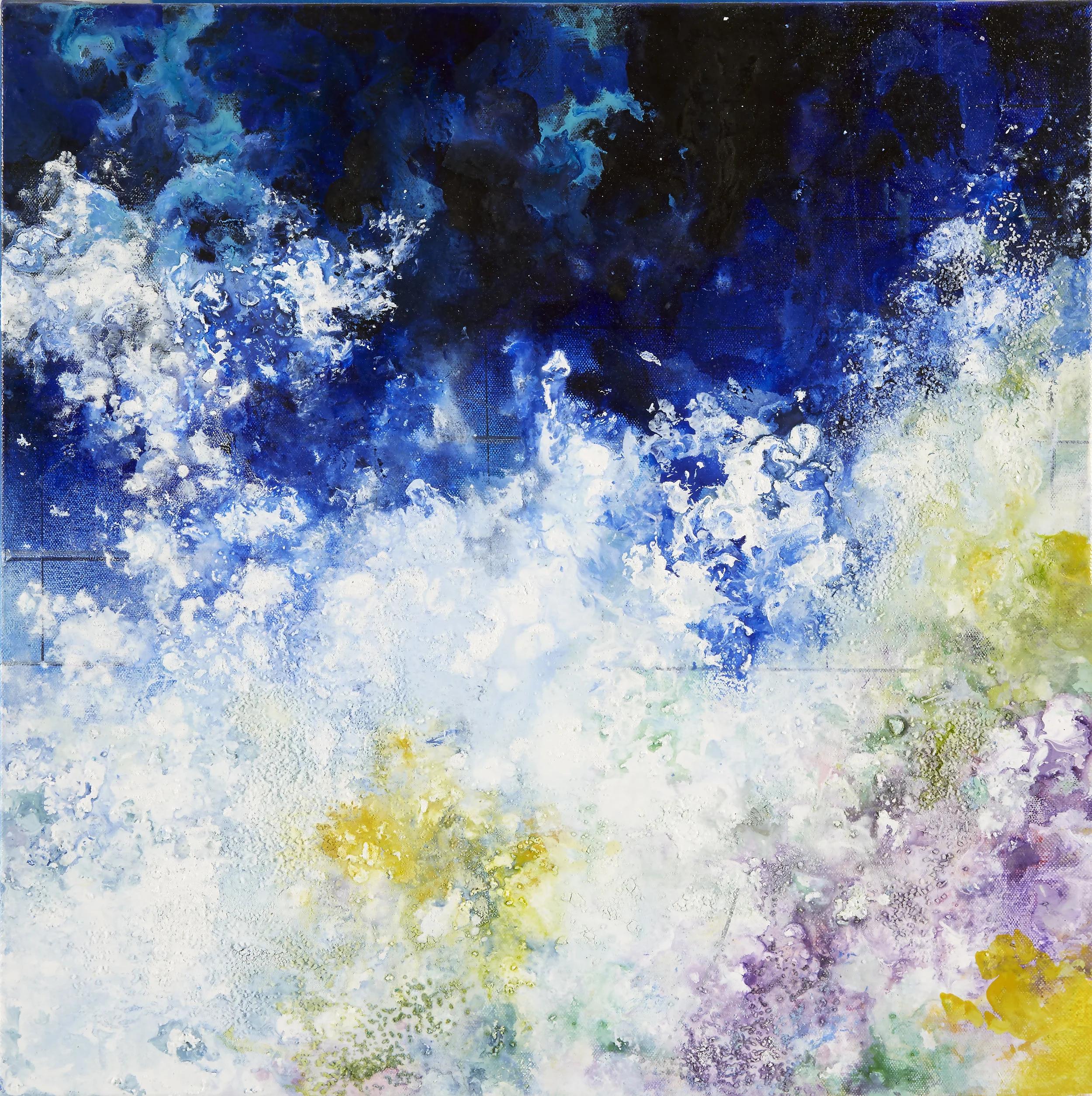 Coral Life Cycle 3