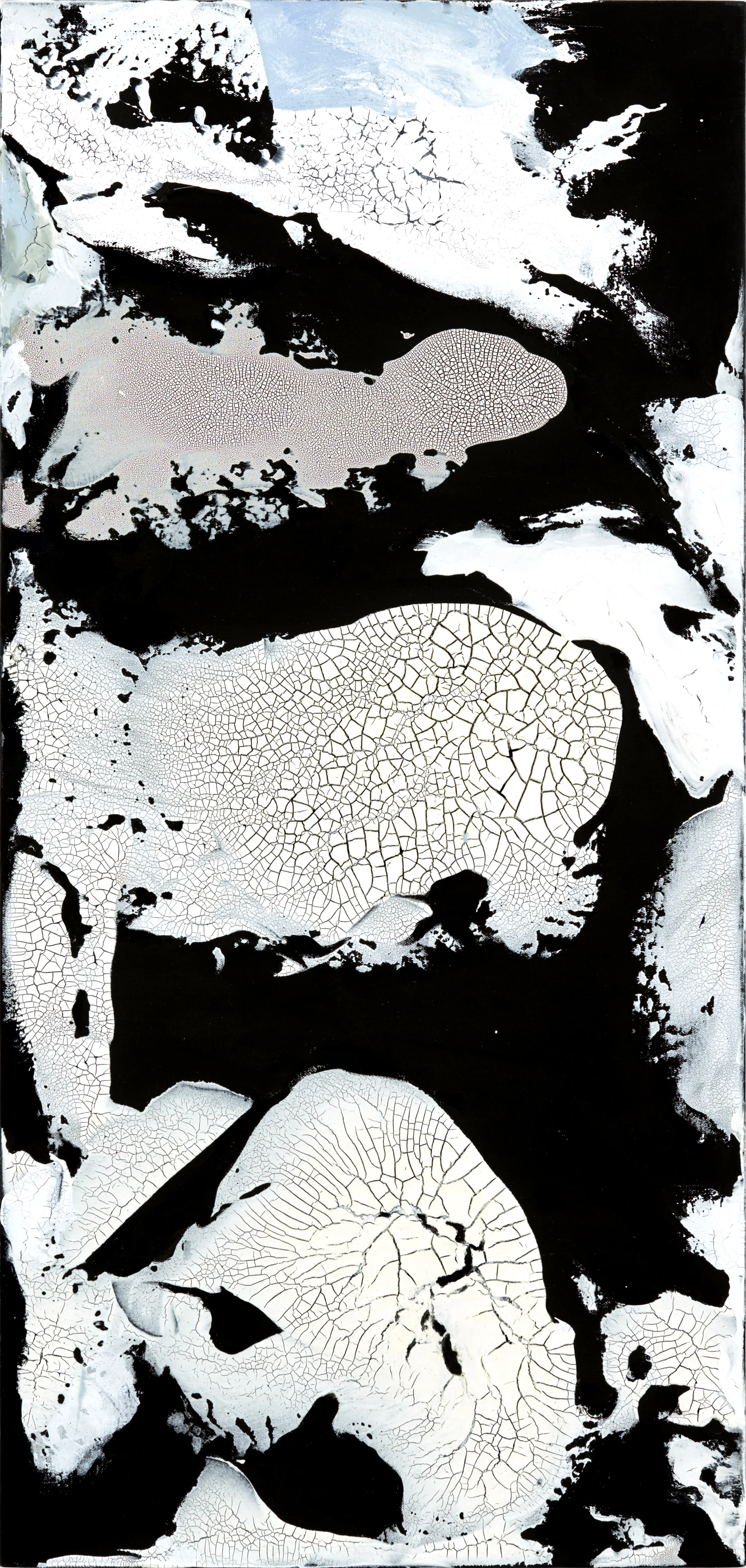 Visions of the Beaufort Sea IV