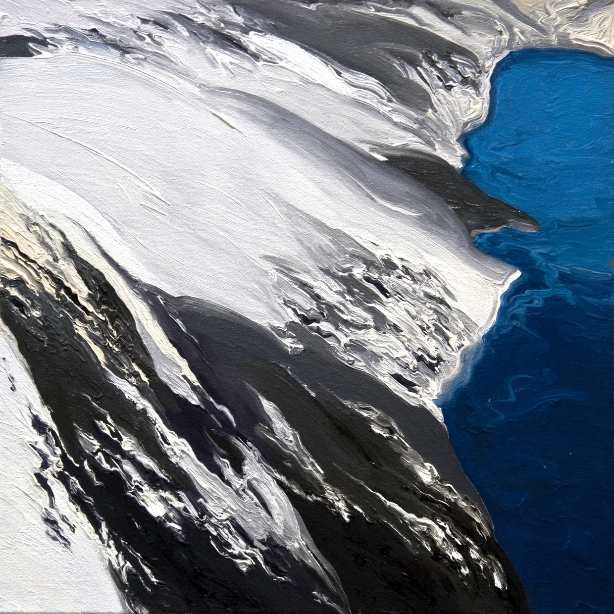 Alaska National Wildlife Reserve Series 4