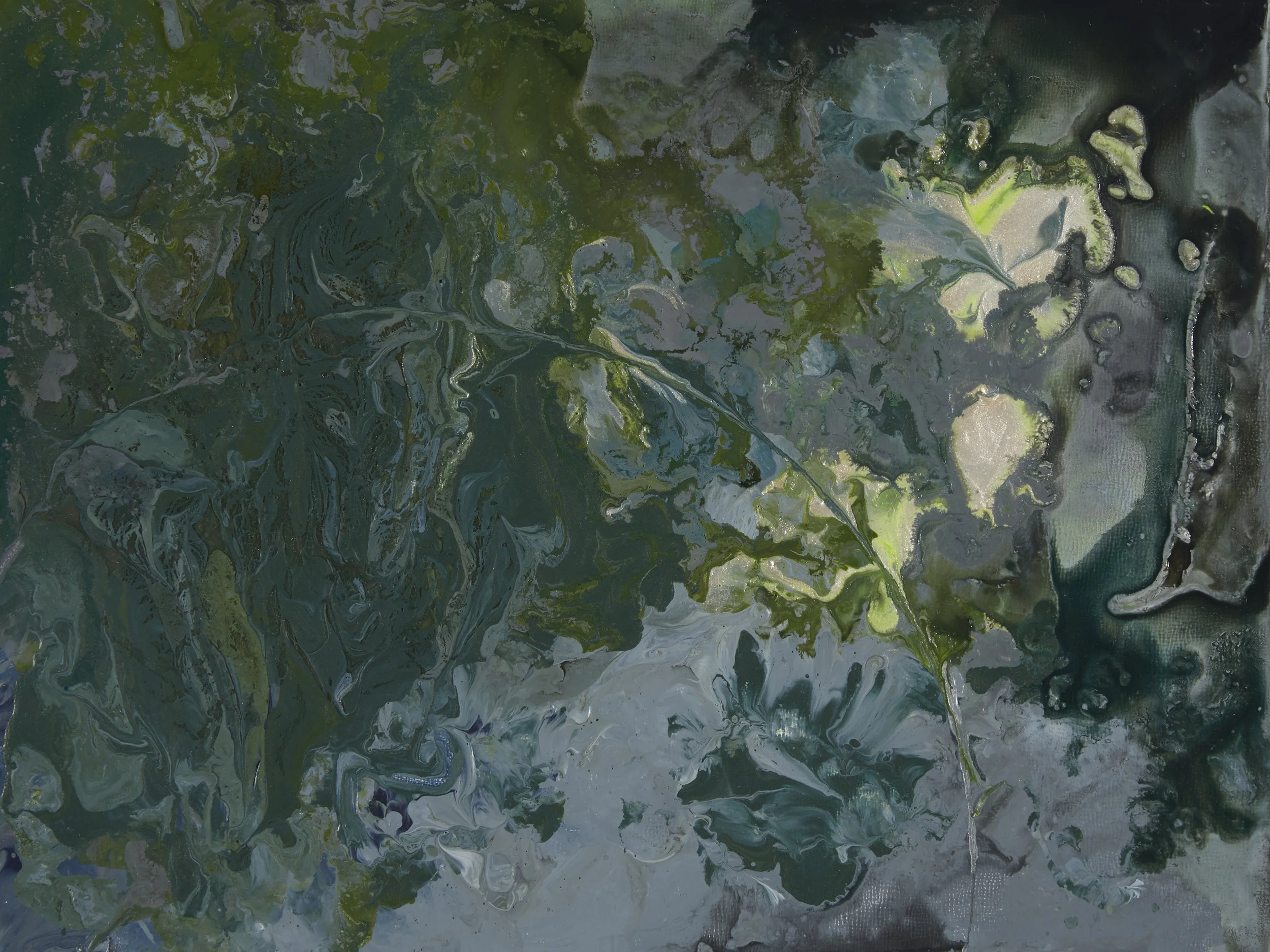 Study 18