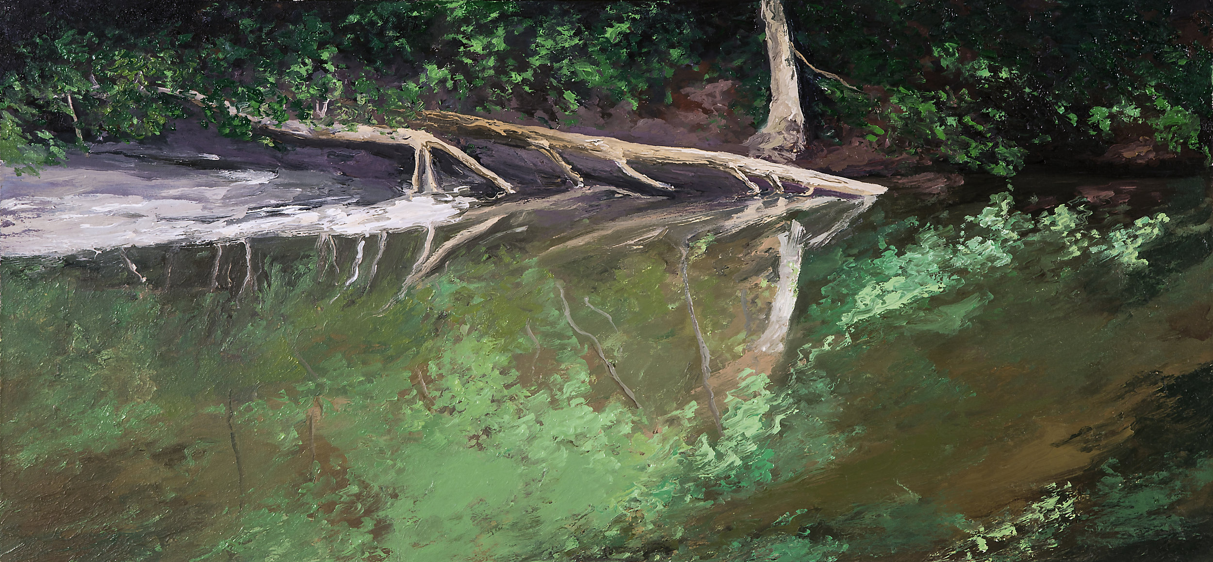 Wissahickon Creek Study 2