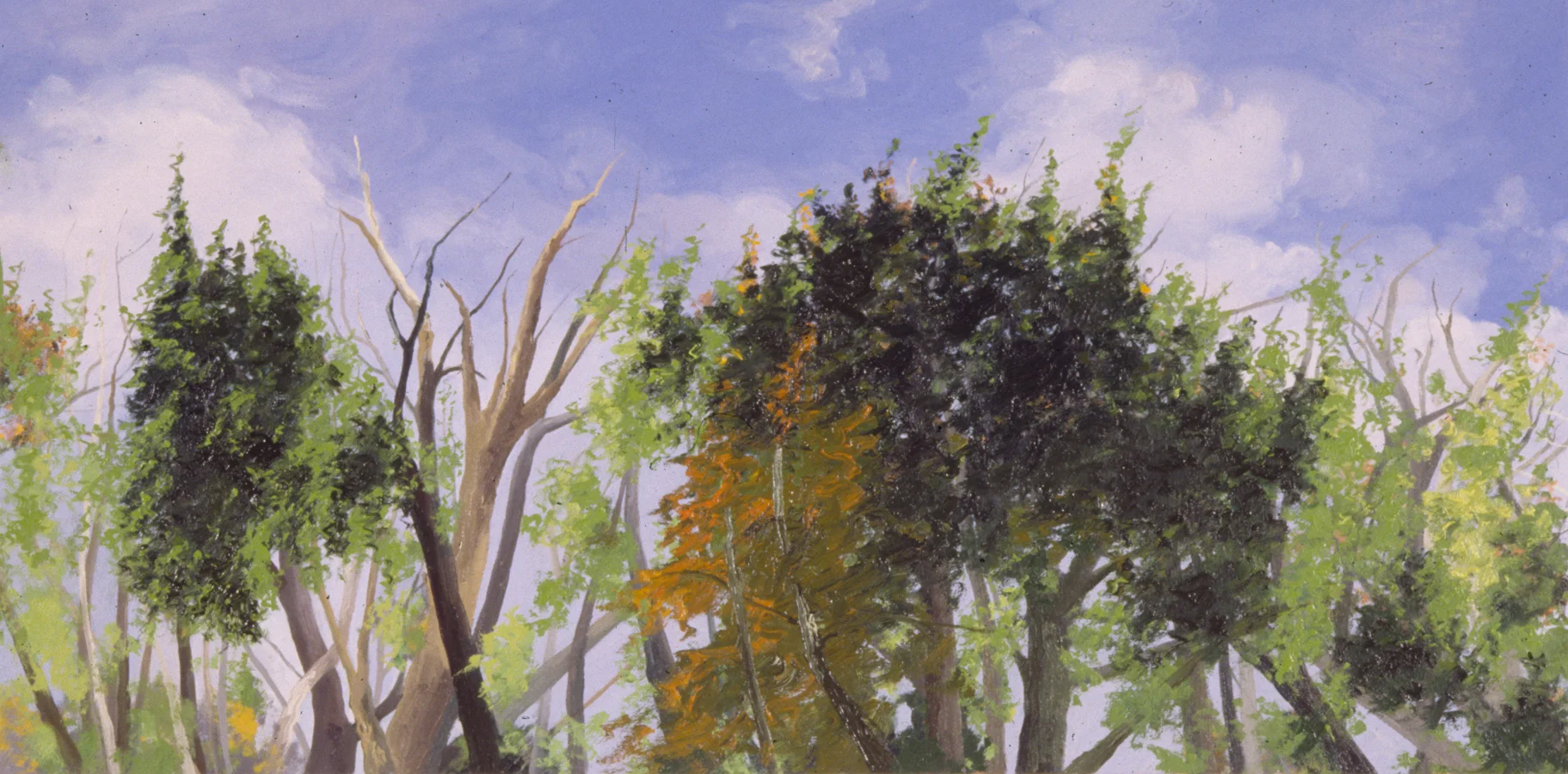 Wissahickon Reflections (5 Panel Suite), Panel 4