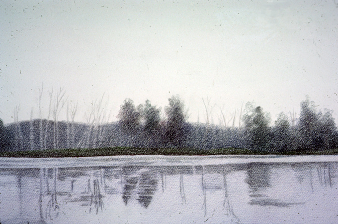 Lagoon of Presque Isle #1 (detail)
