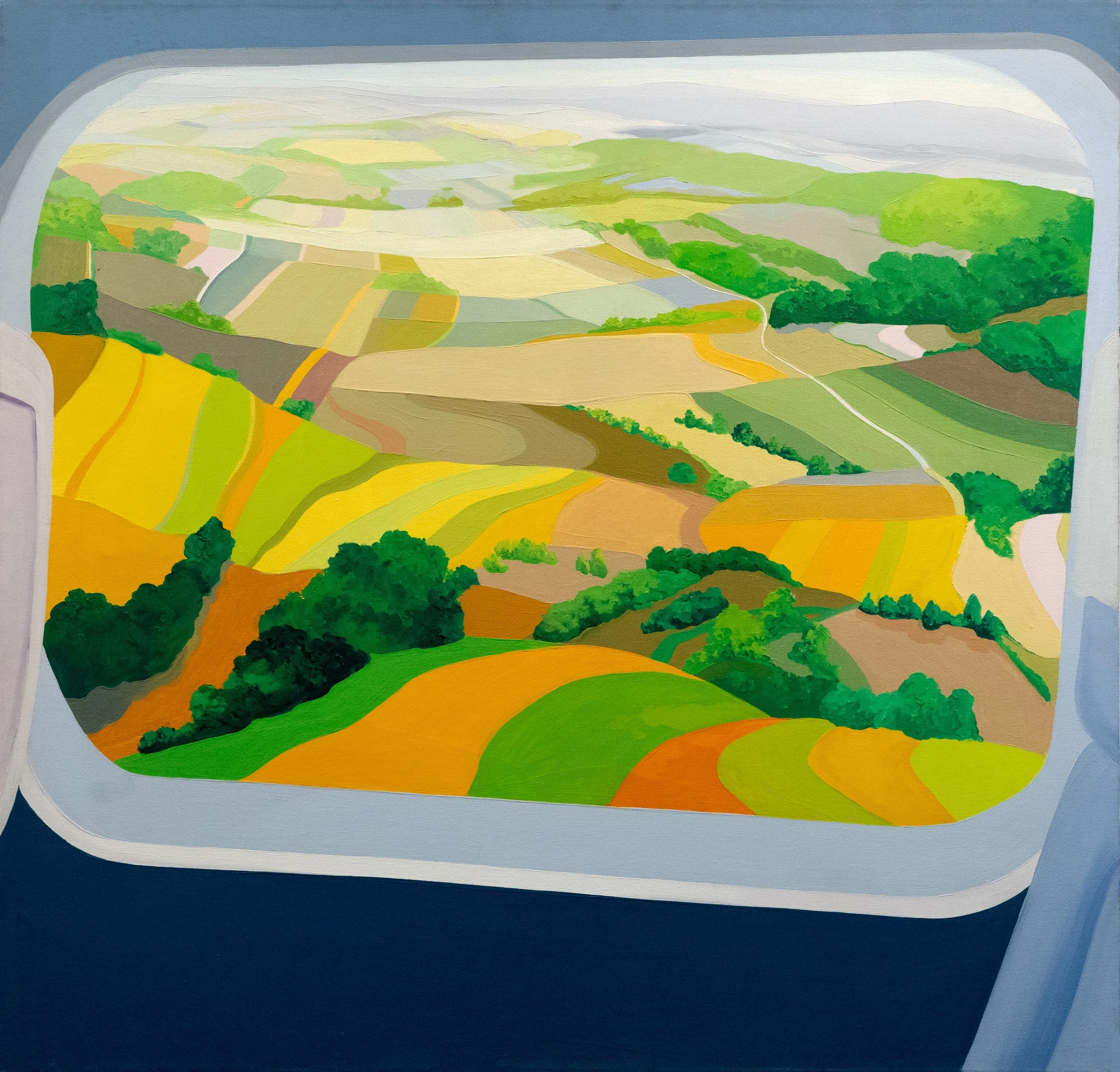 View from Plane Window I