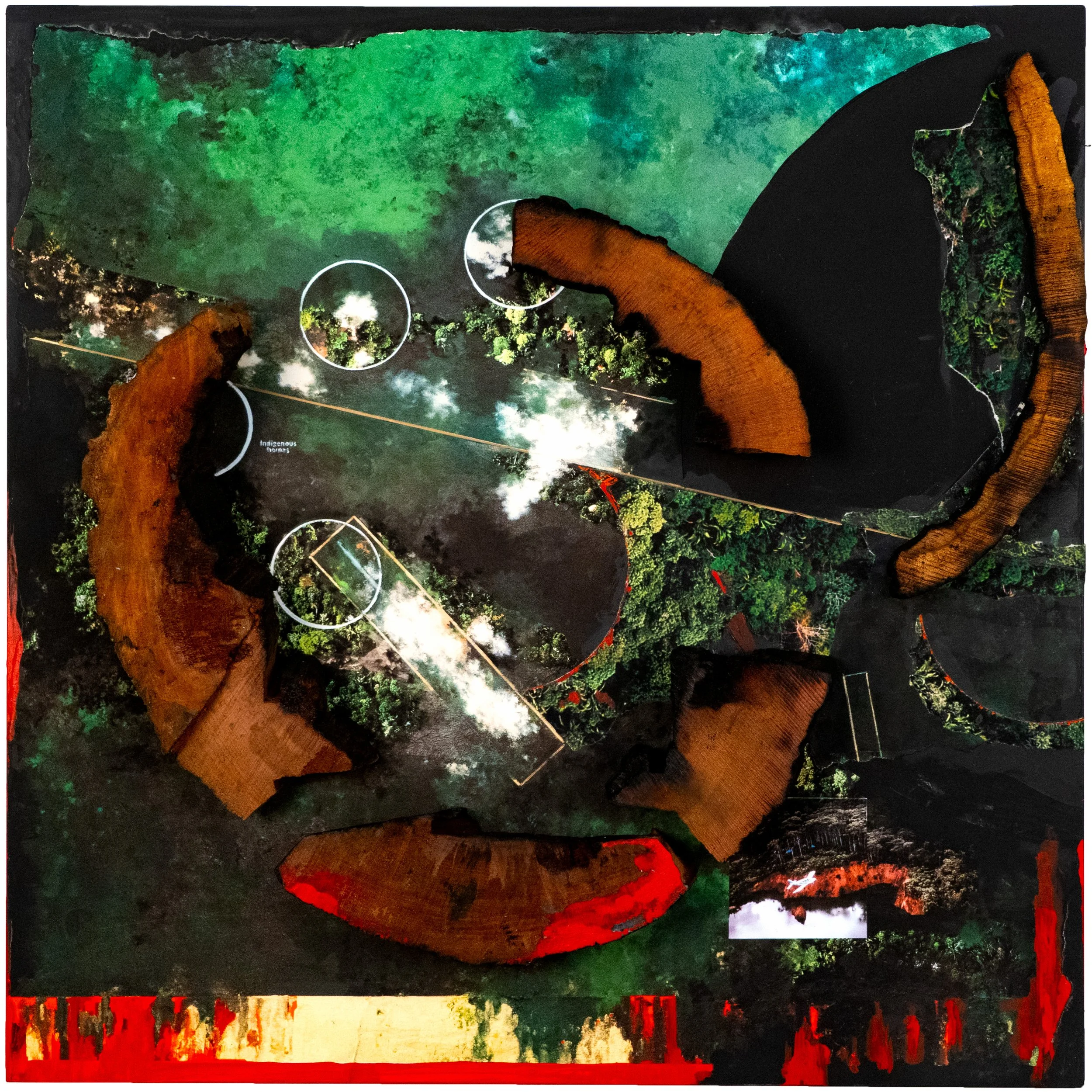 Elegy Amazonas VII