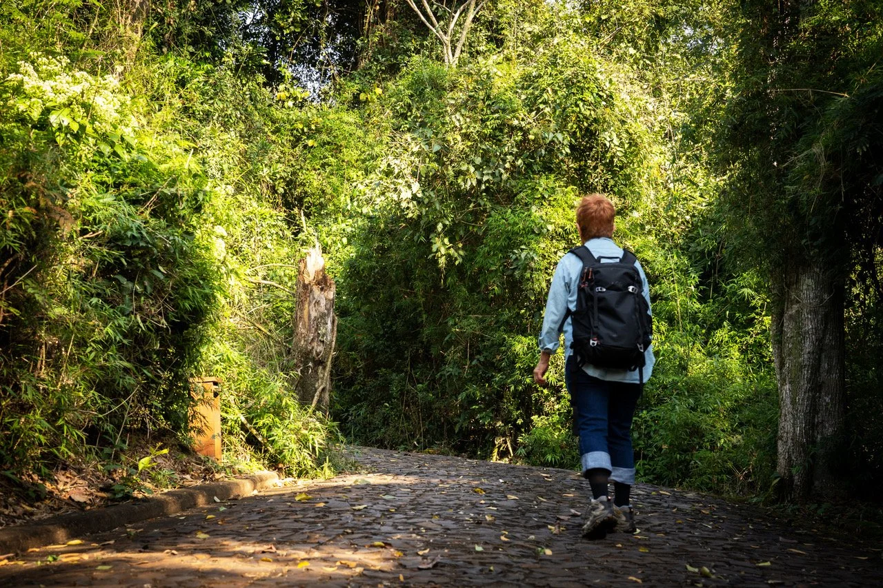 AWASI Iguazu Artist Immersion Residency