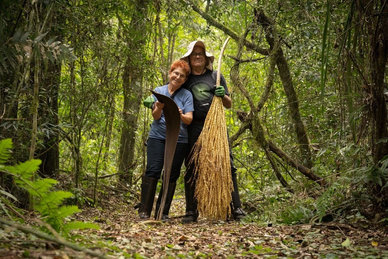 Foraging in Jacuy Forest Reserve, AWASI Iguazu Artist Immersion Residency