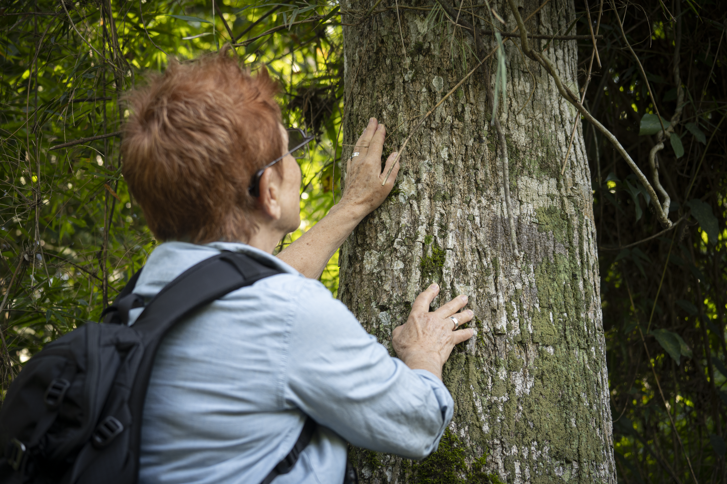  Image by Claudia Vergara Paez. 