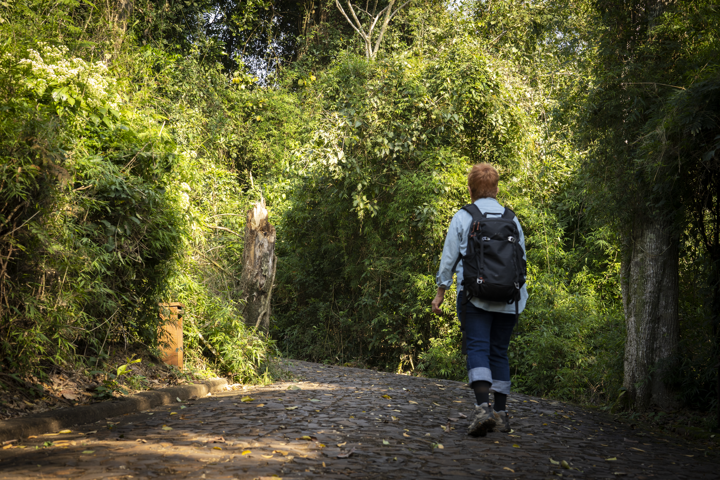  Image by Claudia Vergara Paez. 