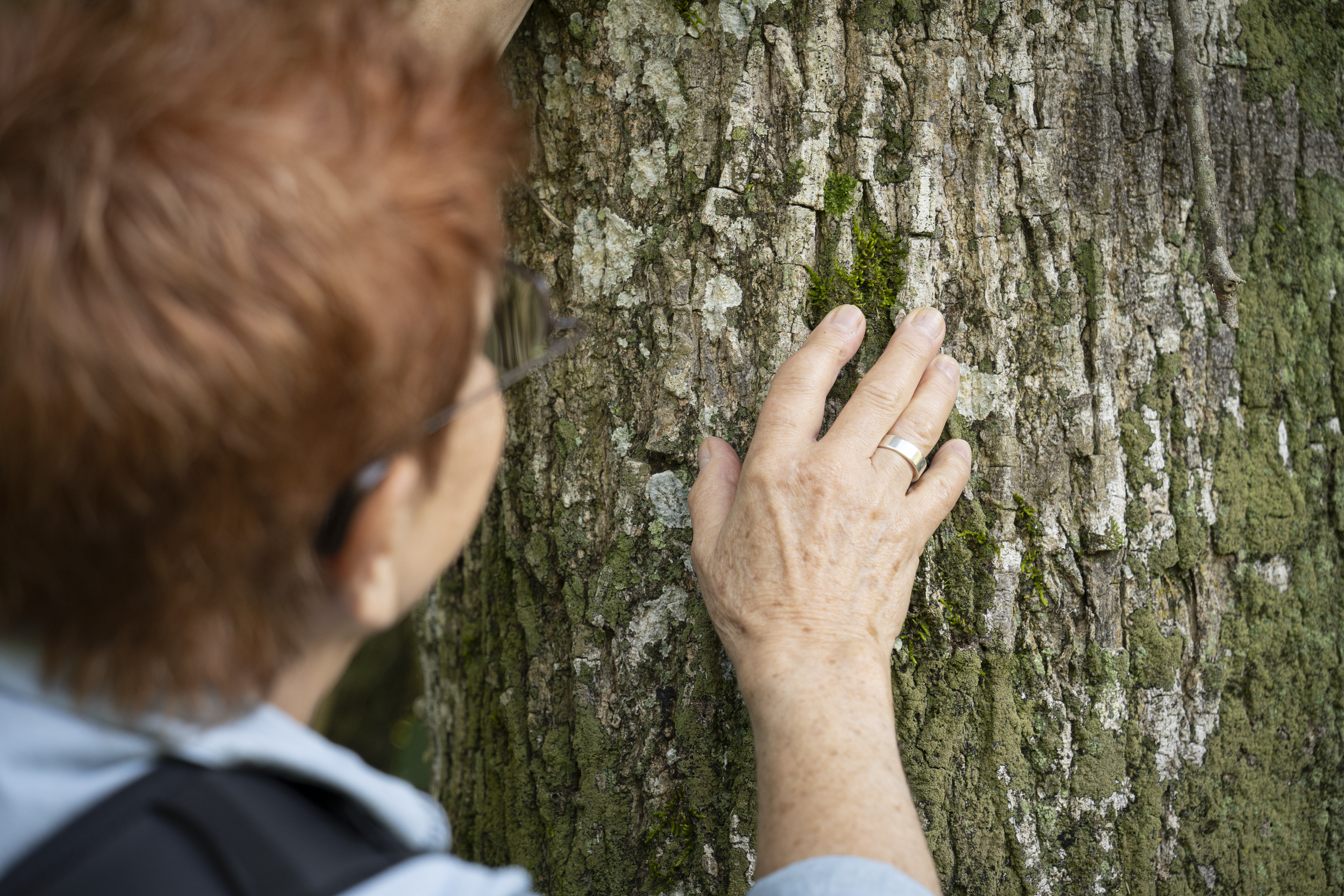  Image by Claudia Vergara Paez. 