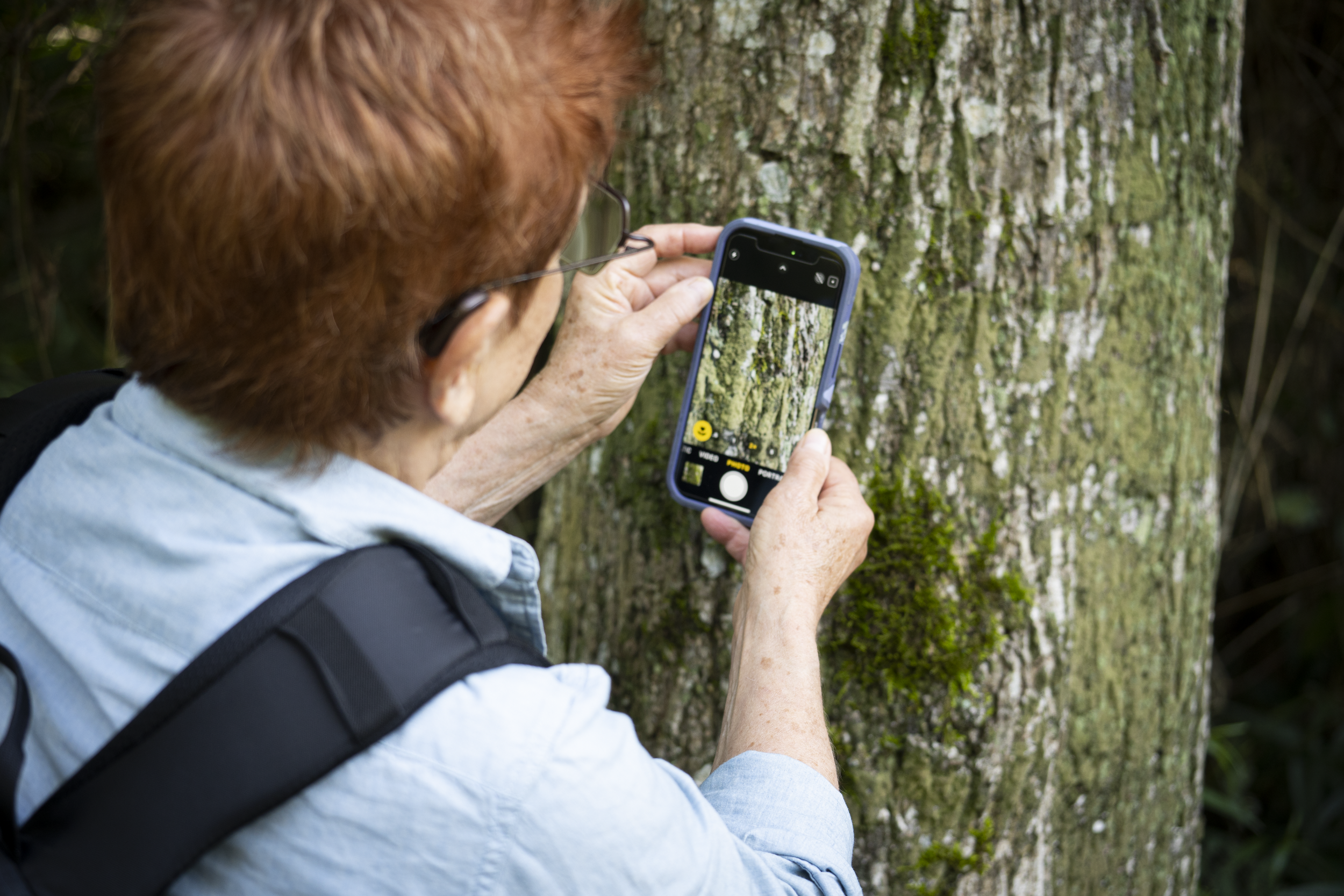  Image by Claudia Vergara Paez. 