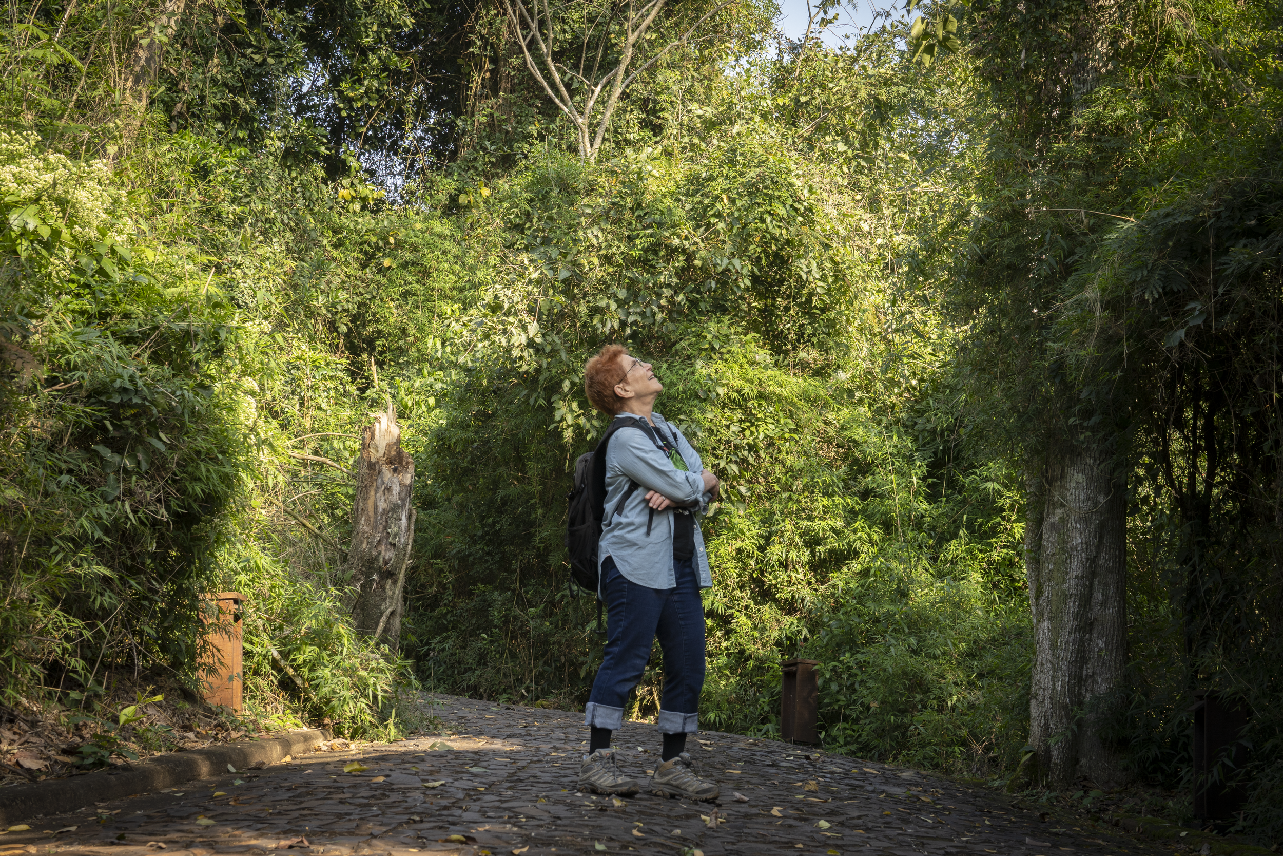  Image by Claudia Vergara Paez. 