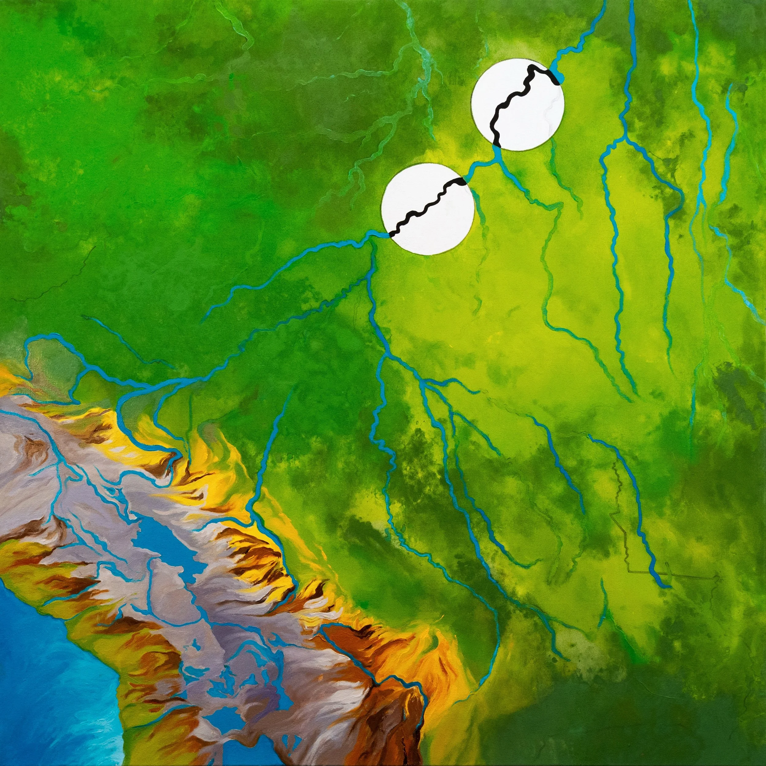 Santo Antônio and Jiruau Dams on the Madeira River