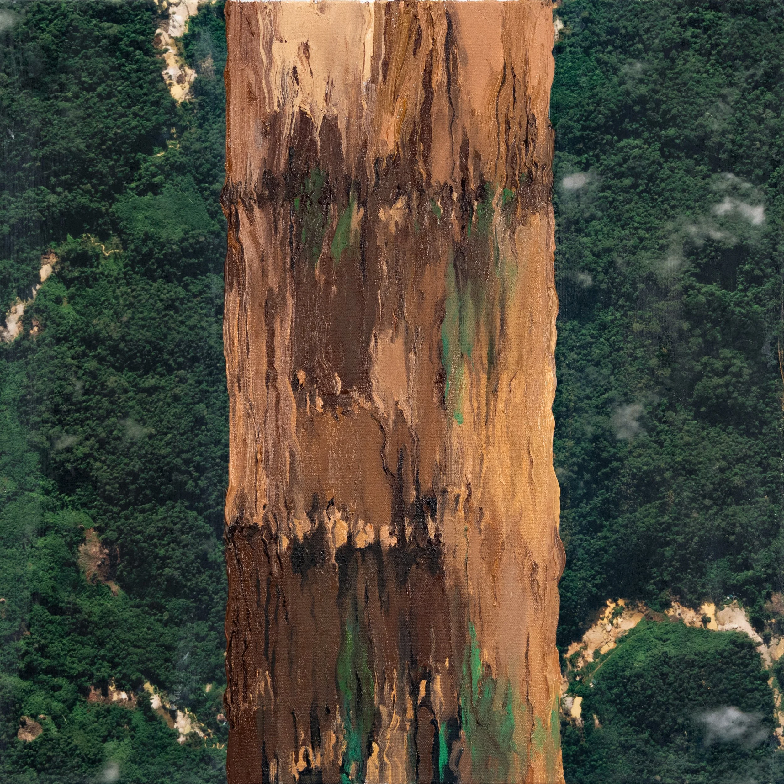 Pindó (Sygarus Romanoffiana)