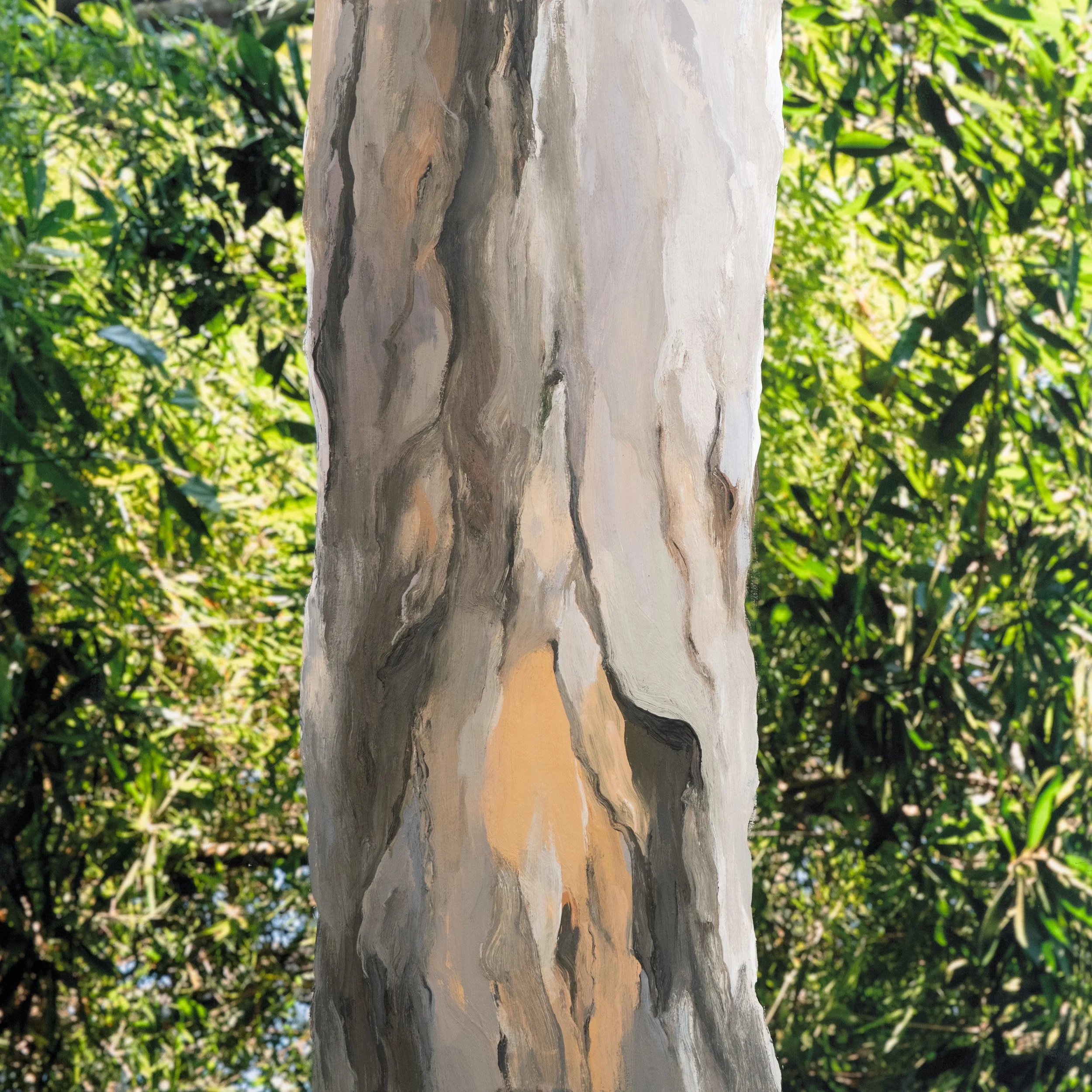 Grapia (Apuleia Leiocarpa)