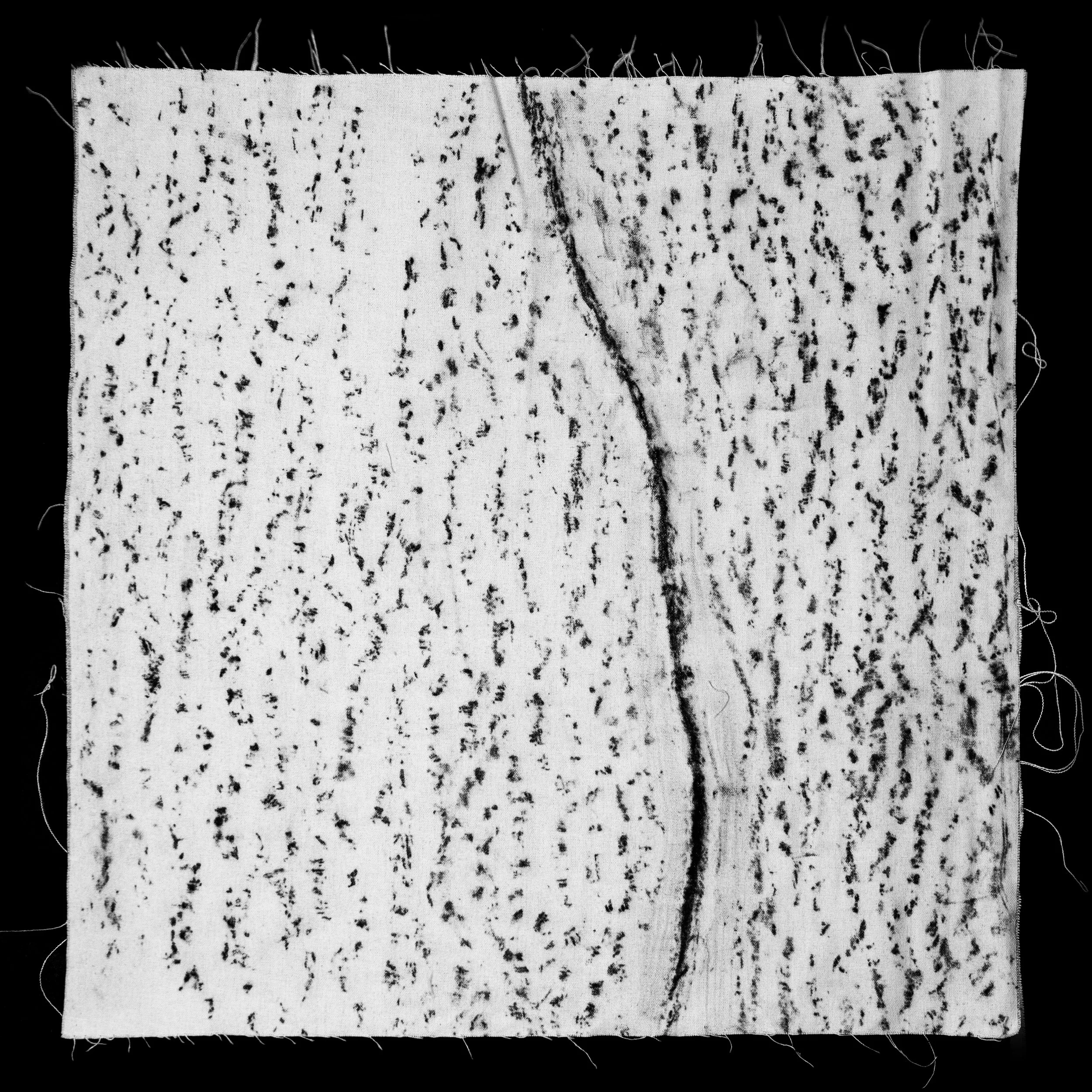 Incensio (Myrocarpus Frondosus)