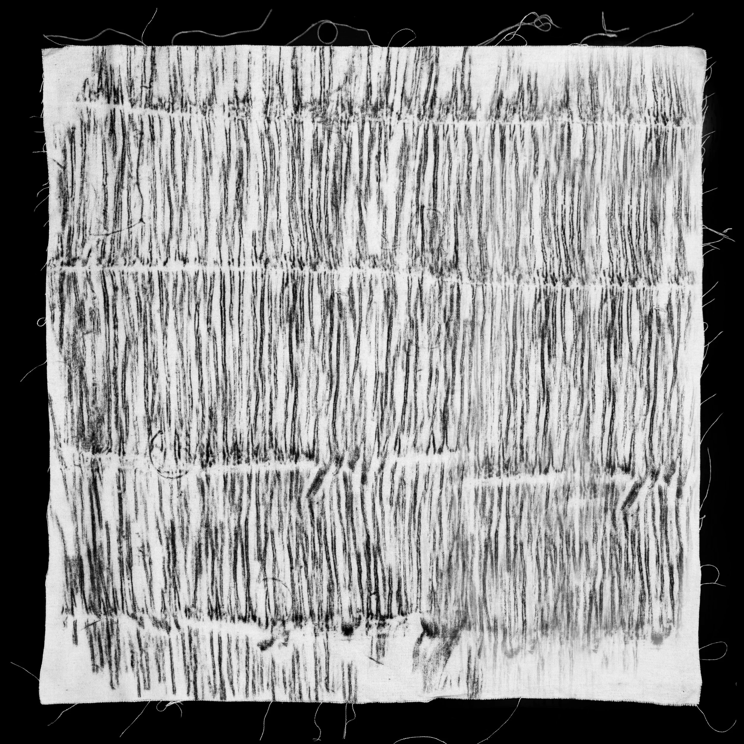 Pindó (Sygarus Romanoffiana) 