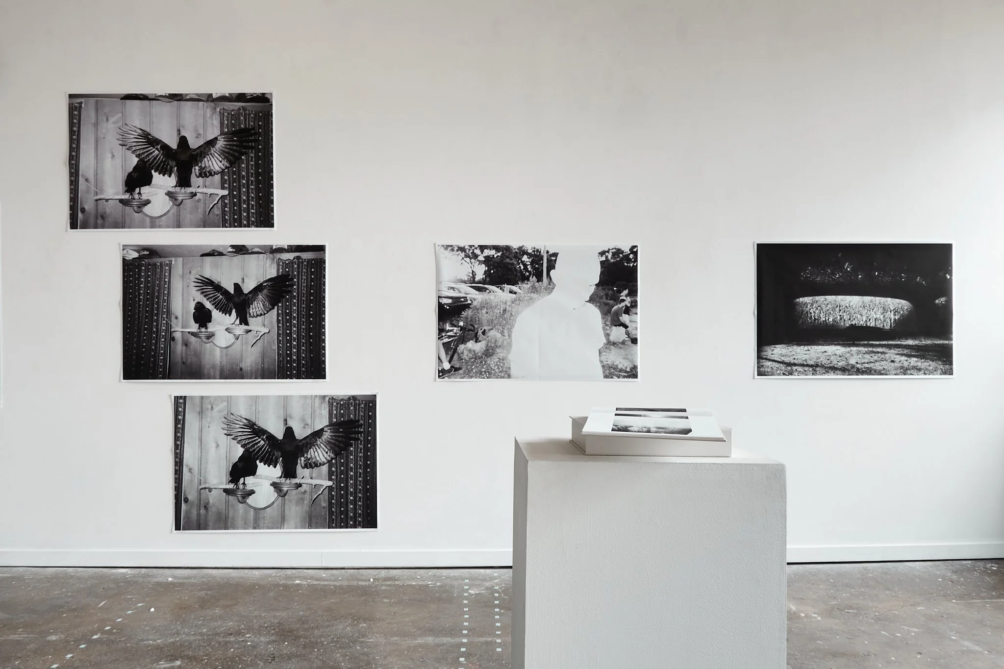 2022-somepig-smith 17.JPG