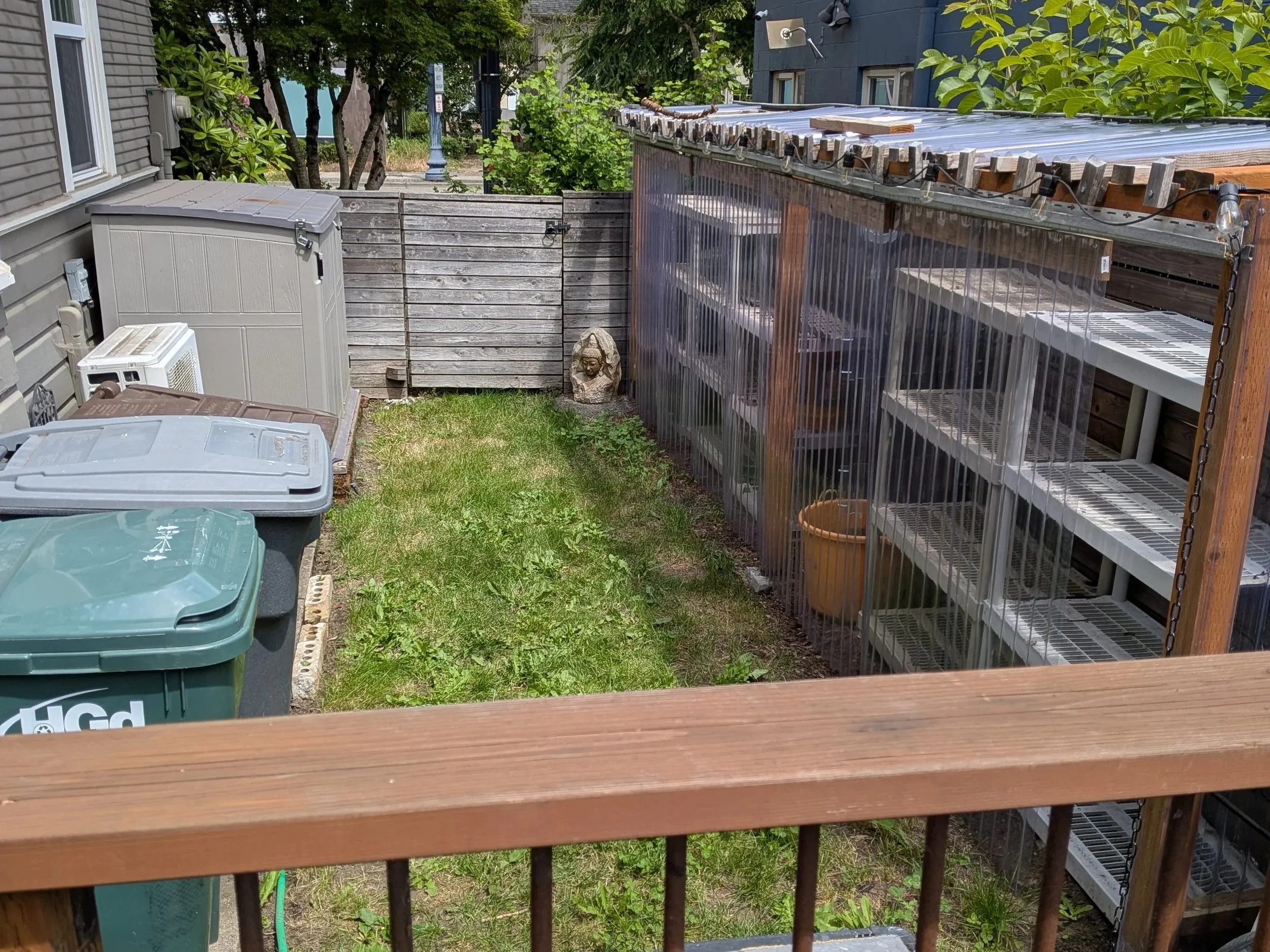 Small Fenced Dog Yard