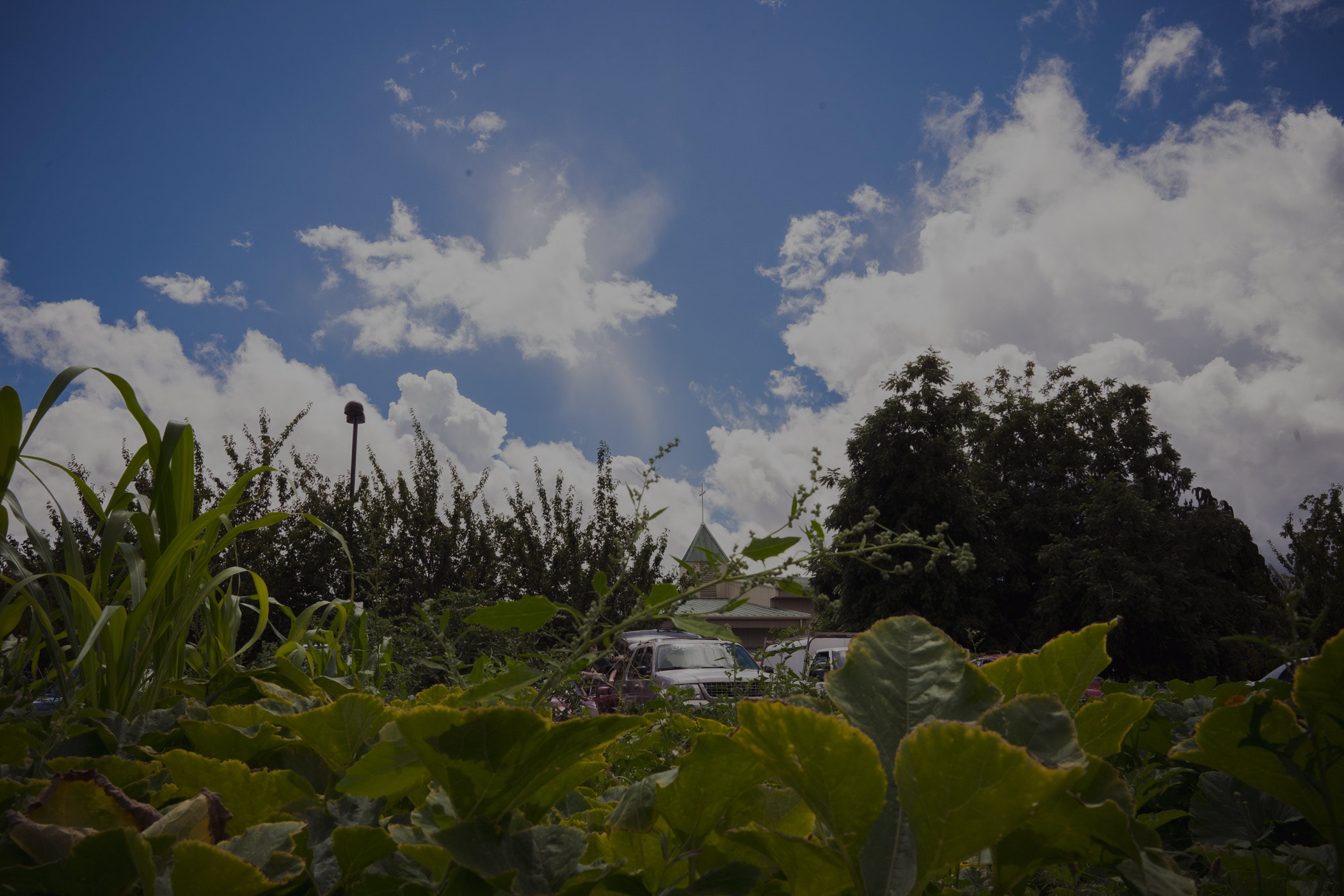 immanuel-lutheran-church-view-from-community-garden.jpg