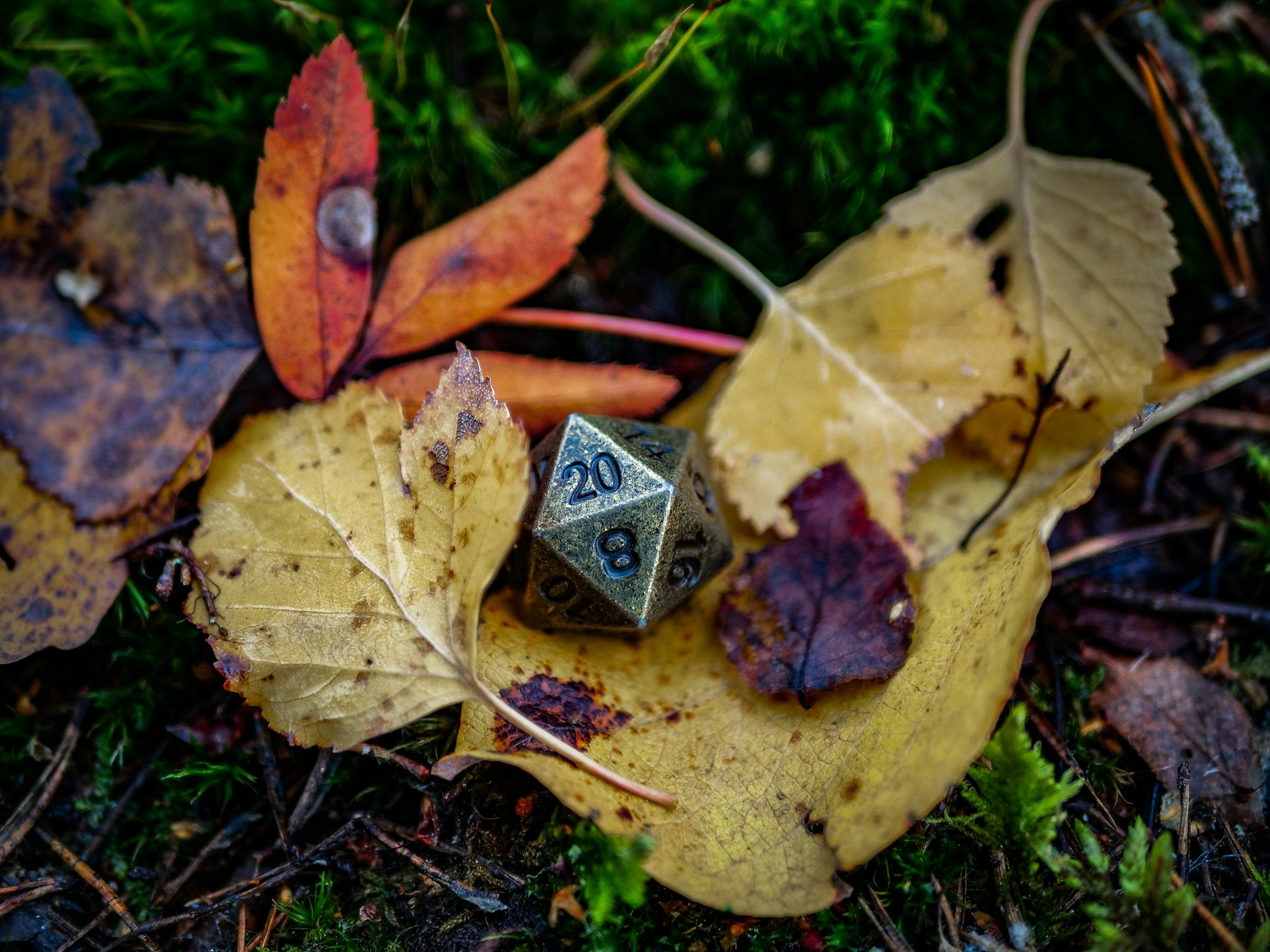 Dungeons &amp; Dragons for TEENS 