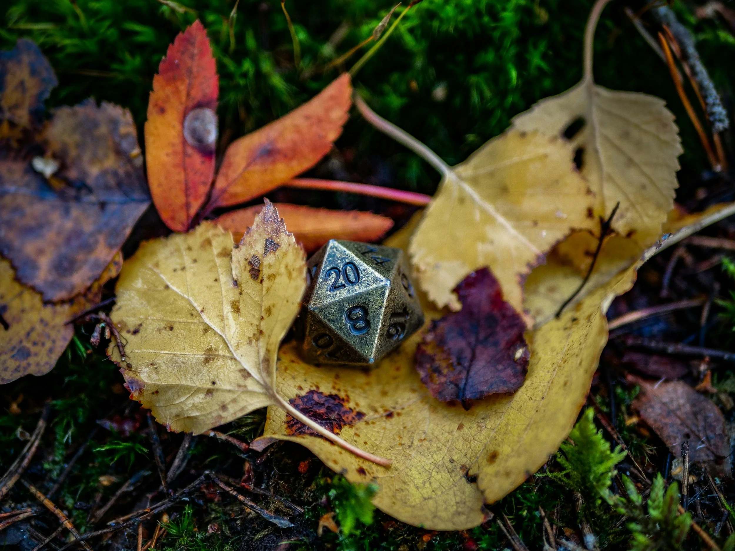 Dungeons &amp; Dragons for TEENS