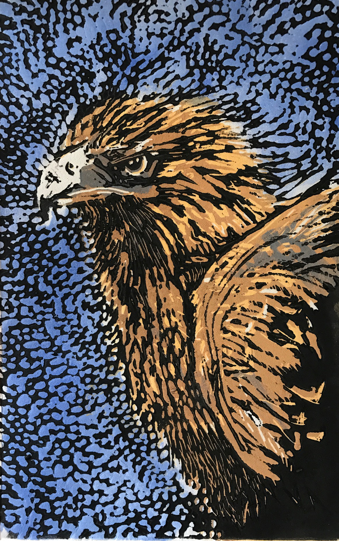 Black eagle.jpg