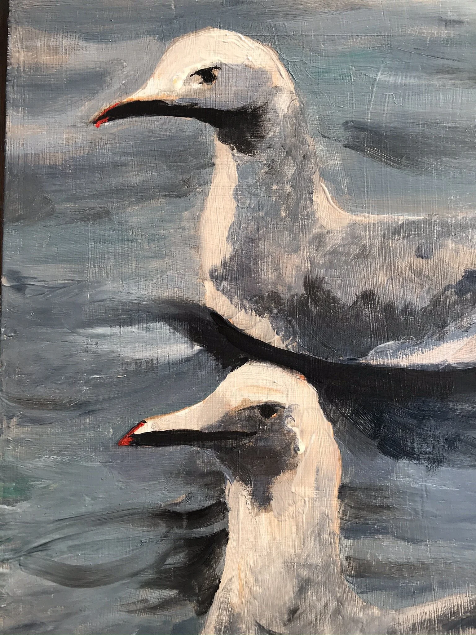 Seagulls detail 1.JPEG