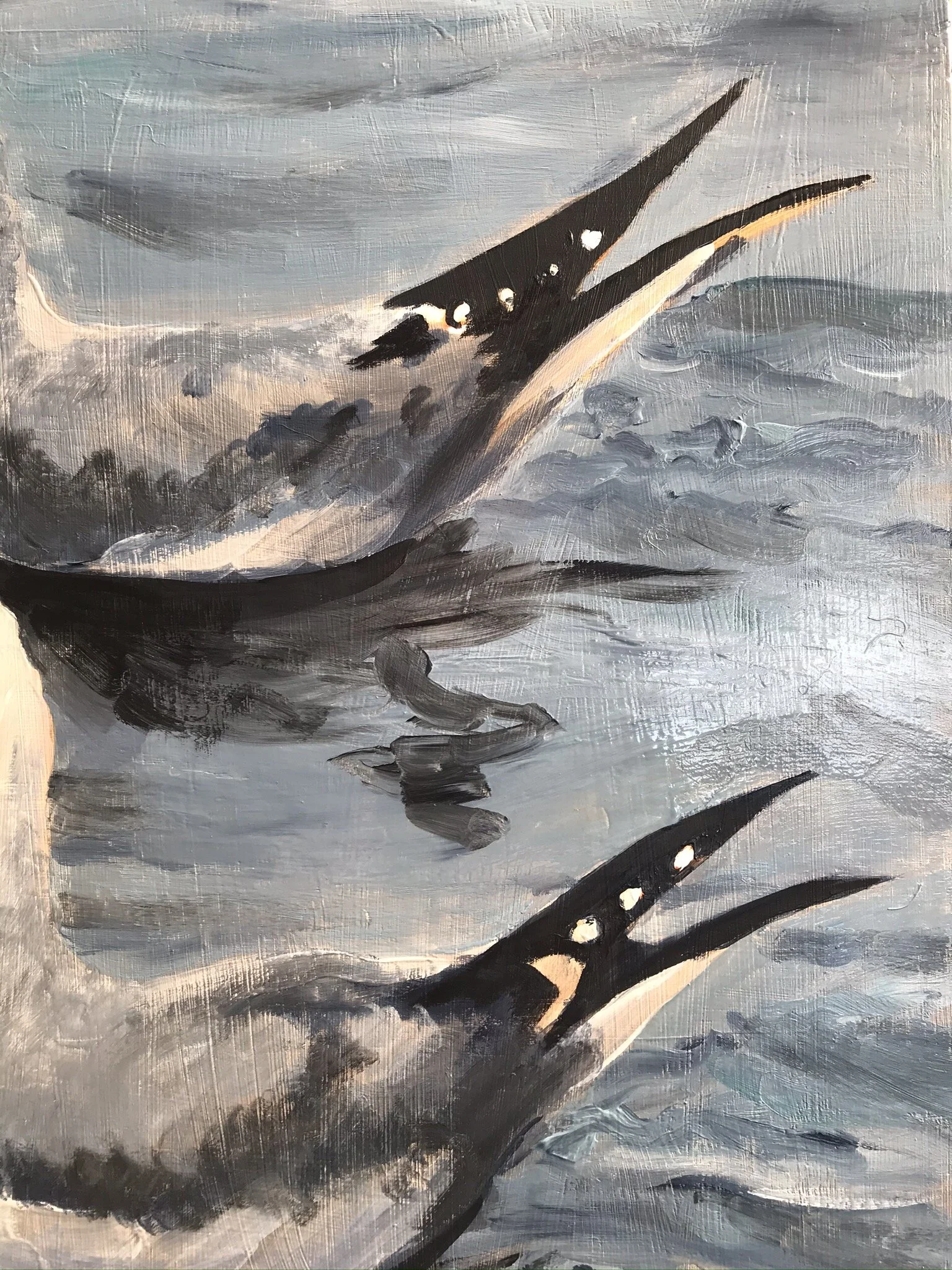 Seagulls detail 3.JPEG