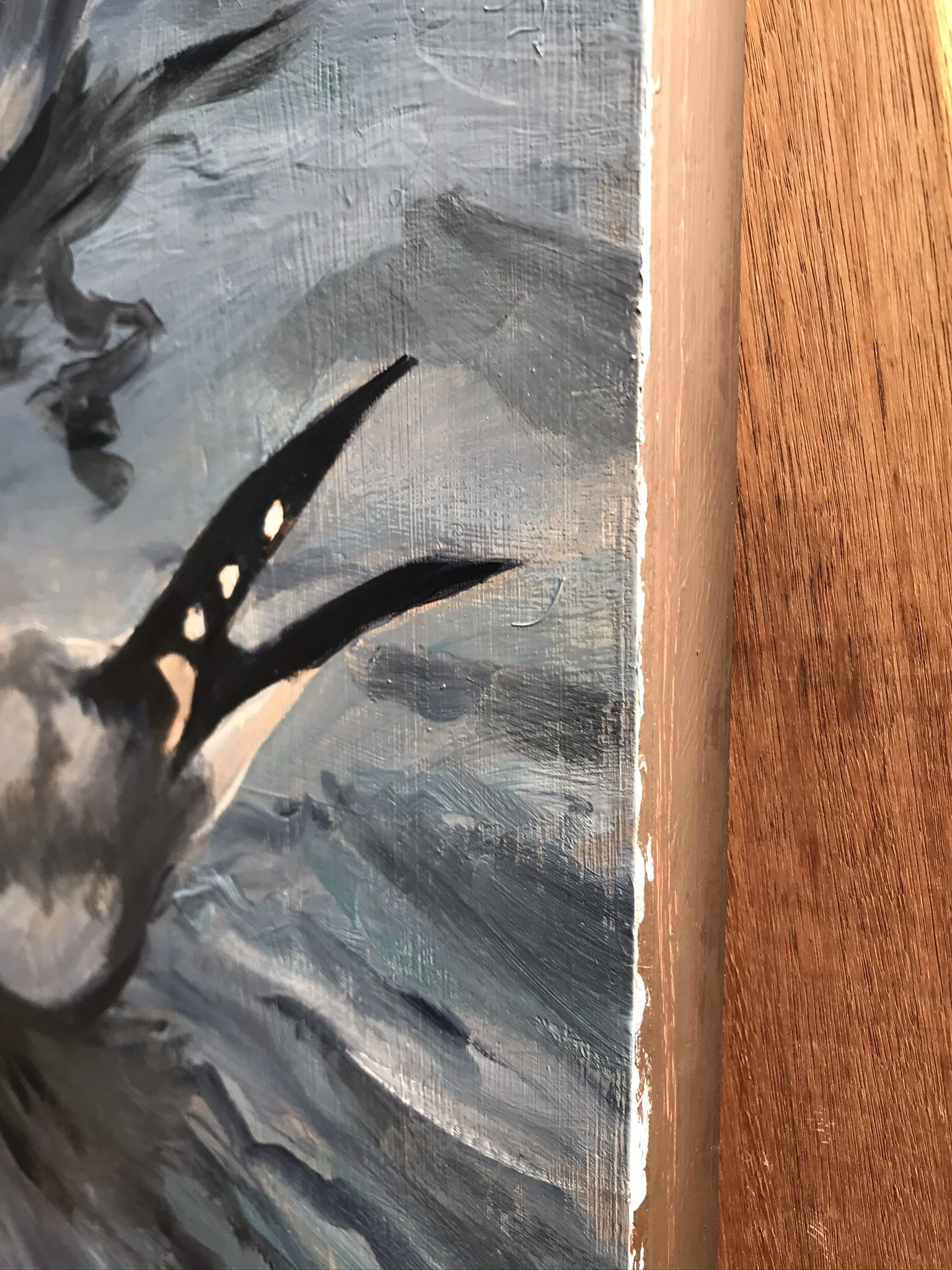 Seagulls edge detail.JPEG