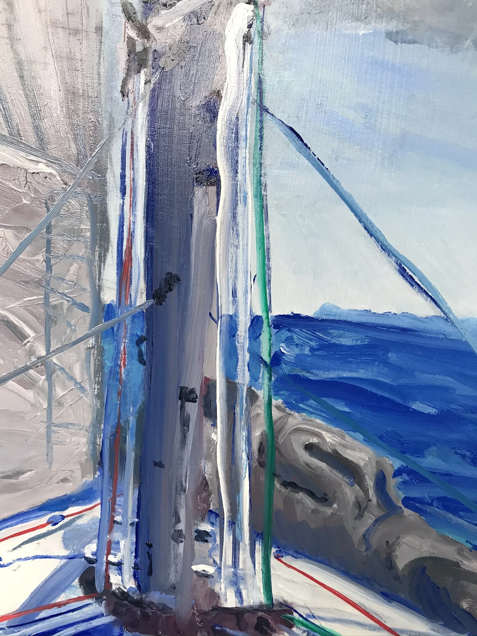 Landfall, Lord Howe Island-detail 3.JPEG